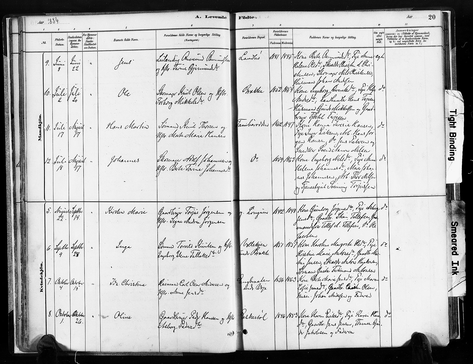 Austre Moland sokneprestkontor, SAK/1111-0001/F/Fa/Faa/L0010: Parish register (official) no. A 10, 1880-1904, p. 20