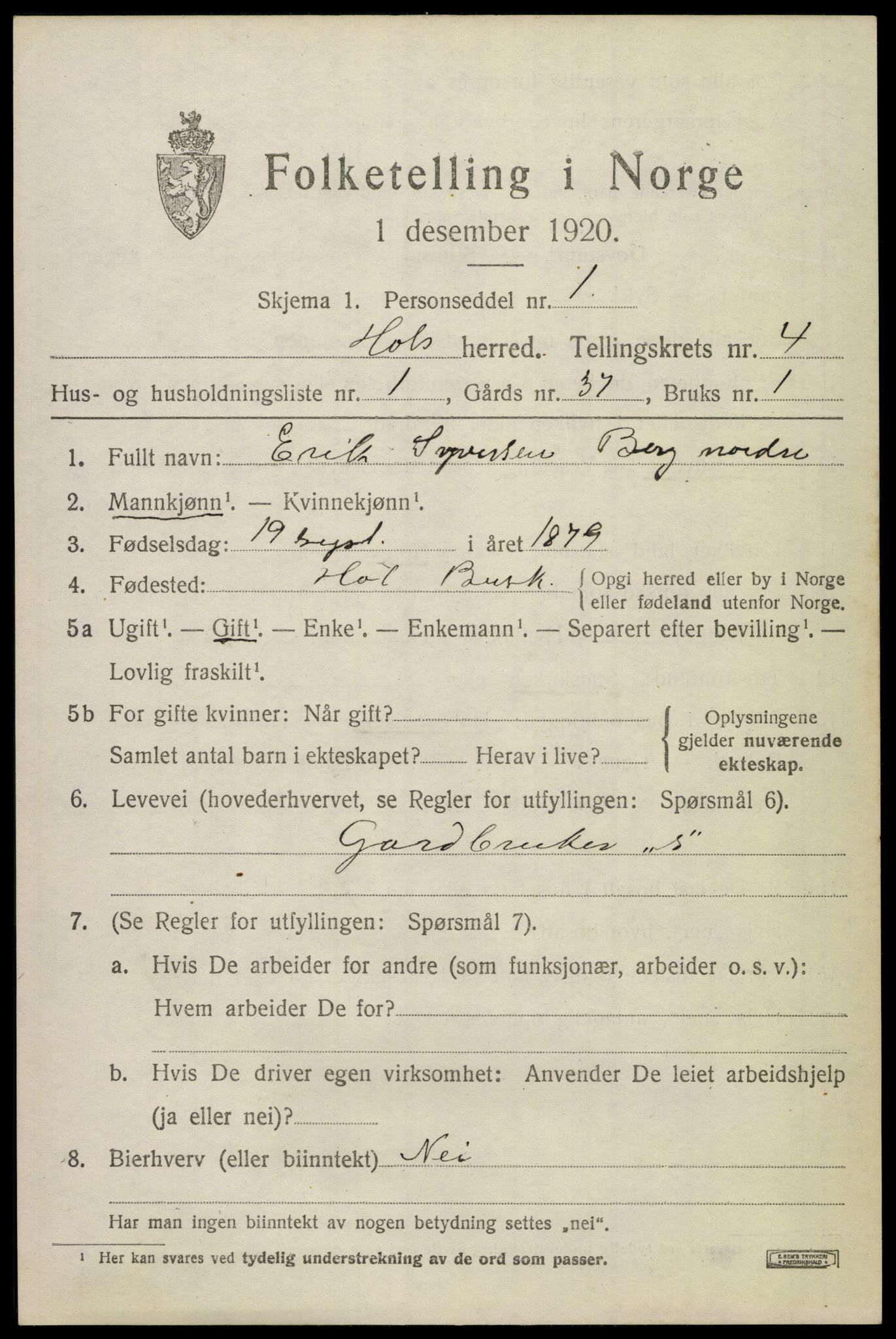 SAKO, 1920 census for Hol (Buskerud), 1920, p. 2417