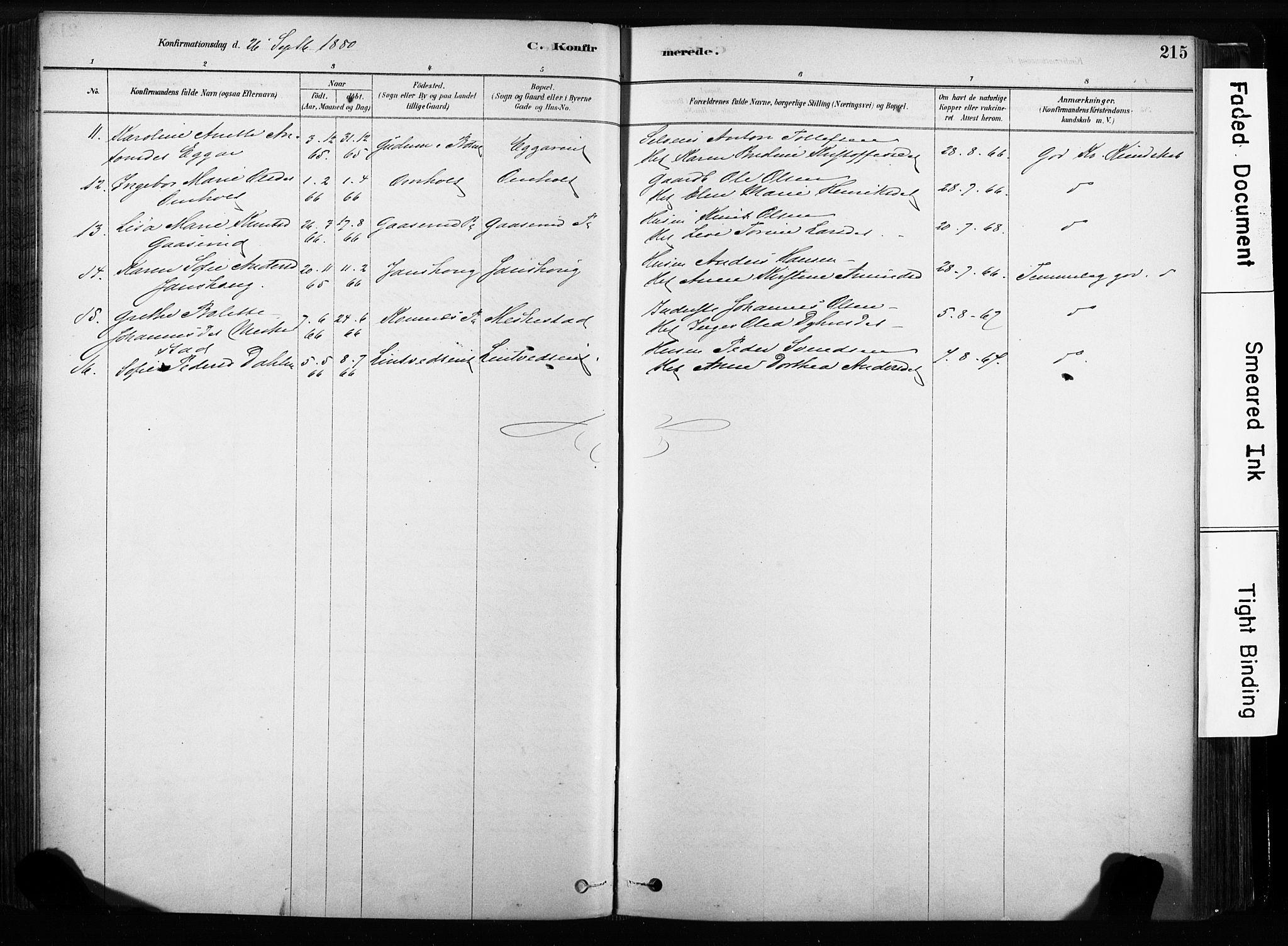 Sandsvær kirkebøker, SAKO/A-244/F/Fb/L0001: Parish register (official) no. II 1, 1878-1906, p. 215