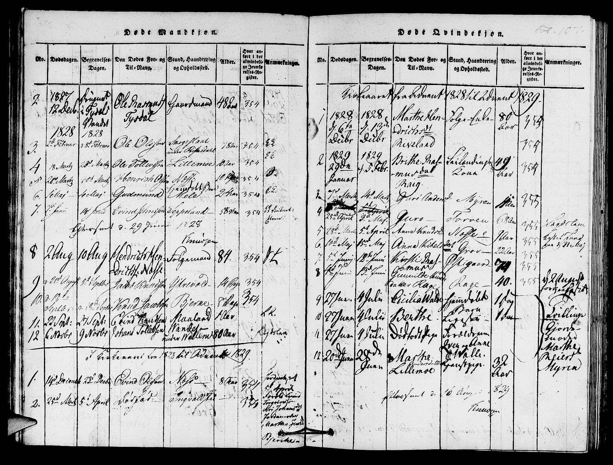 Hjelmeland sokneprestkontor, AV/SAST-A-101843/01/IV/L0005: Parish register (official) no. A 5, 1816-1841, p. 107