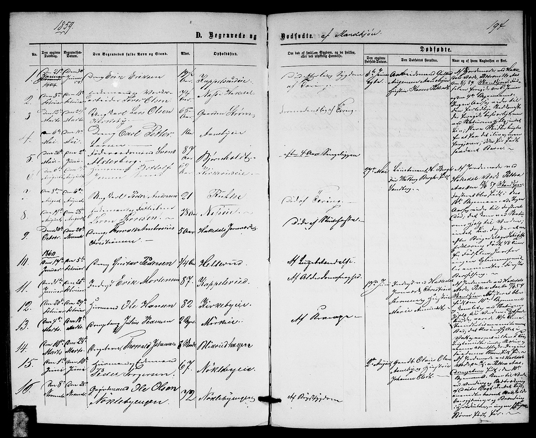 Nittedal prestekontor Kirkebøker, SAO/A-10365a/G/Gb/L0001: Parish register (copy) no. II 1, 1859-1878, p. 194