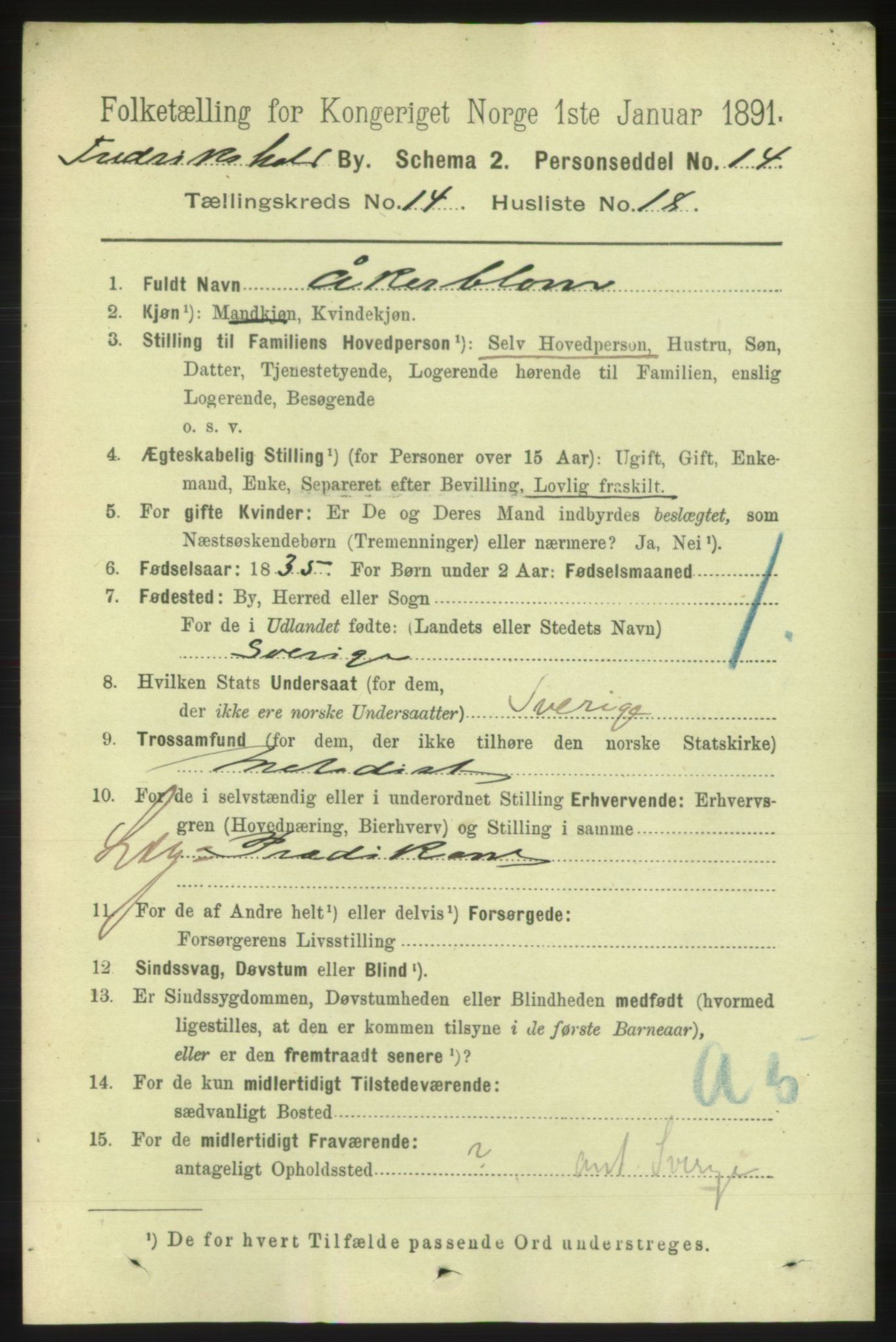 RA, 1891 census for 0101 Fredrikshald, 1891, p. 9292