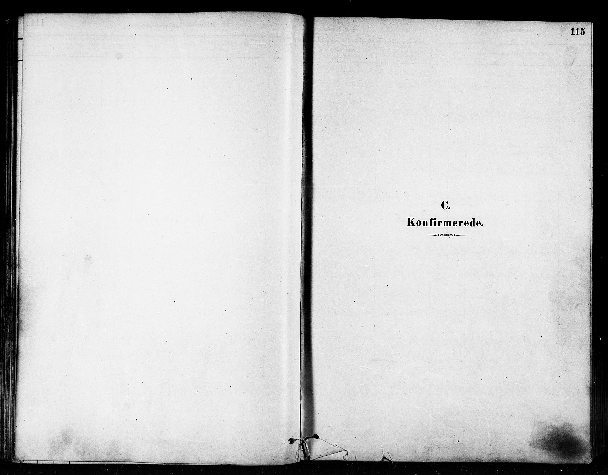 Vardø sokneprestkontor, SATØ/S-1332/H/Ha/L0006kirke: Parish register (official) no. 6, 1879-1886, p. 115