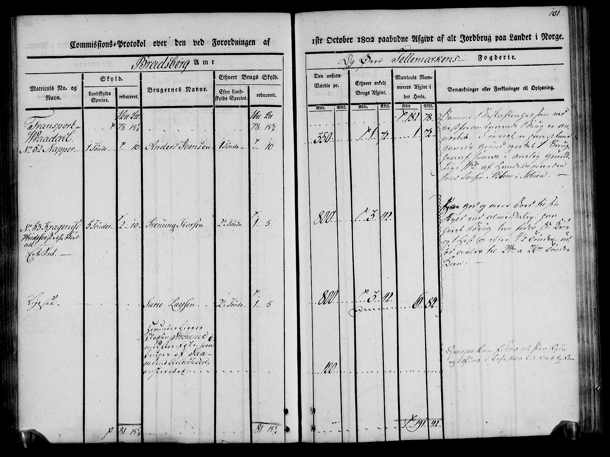 Rentekammeret inntil 1814, Realistisk ordnet avdeling, RA/EA-4070/N/Ne/Nea/L0075: Øvre Telemarken fogderi. Kommisjonsprotokoll for fogderiets vestre del - Kviteseid, Vinje, Moland [):Fyresdal] og Lårdal prestegjeld., 1803, p. 101