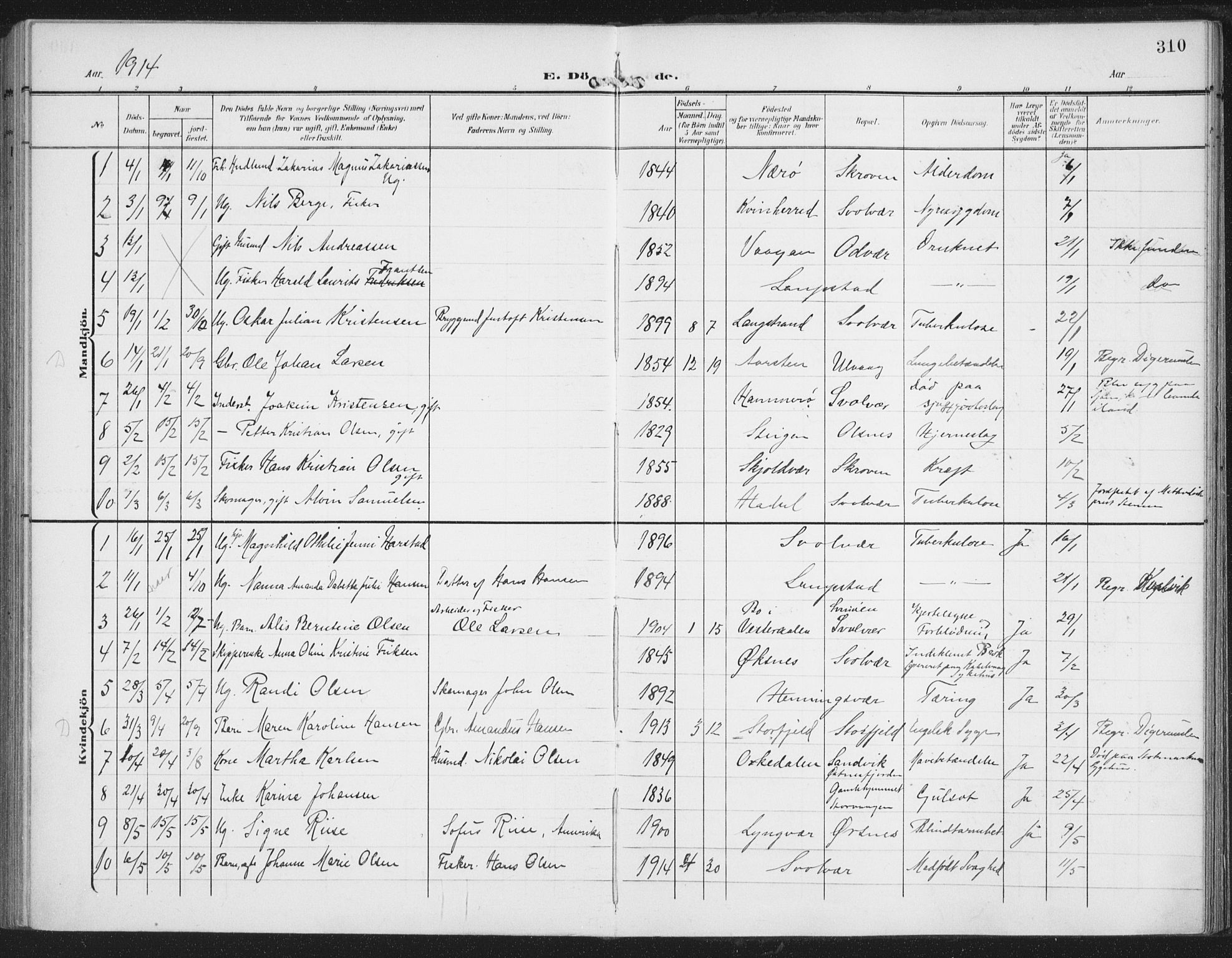 Ministerialprotokoller, klokkerbøker og fødselsregistre - Nordland, AV/SAT-A-1459/874/L1063: Parish register (official) no. 874A07, 1907-1915, p. 310