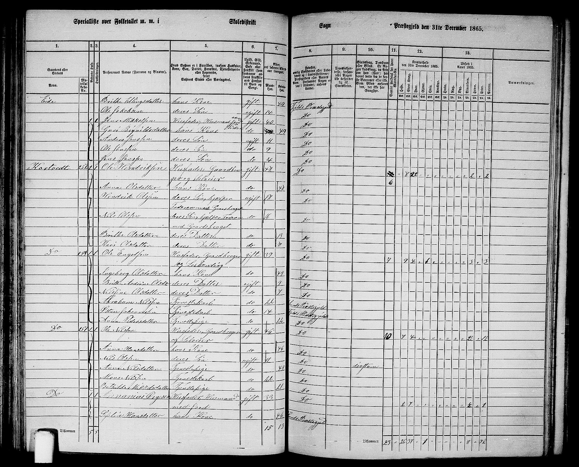 RA, 1865 census for Fjell, 1865, p. 100