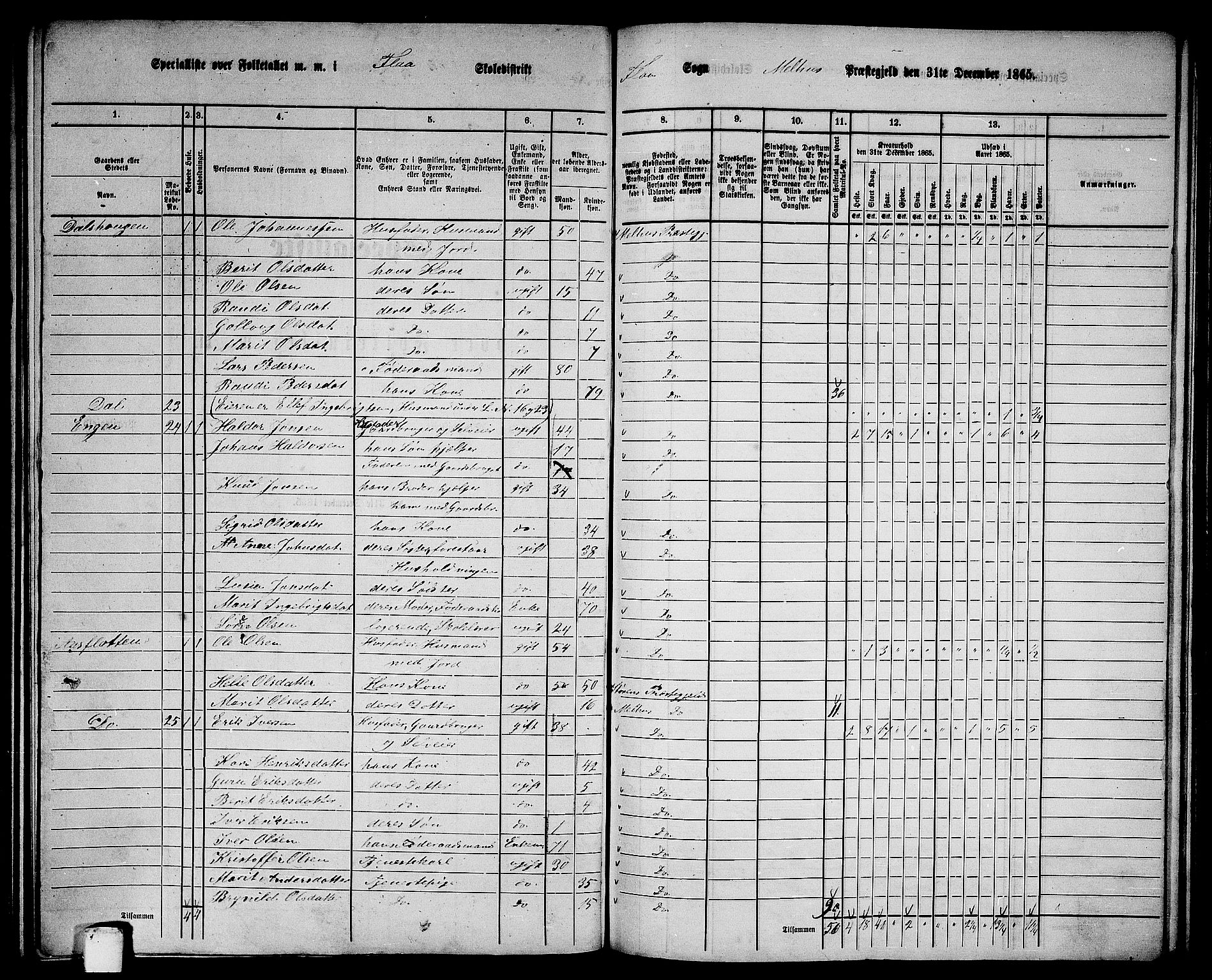 RA, 1865 census for Melhus, 1865, p. 145