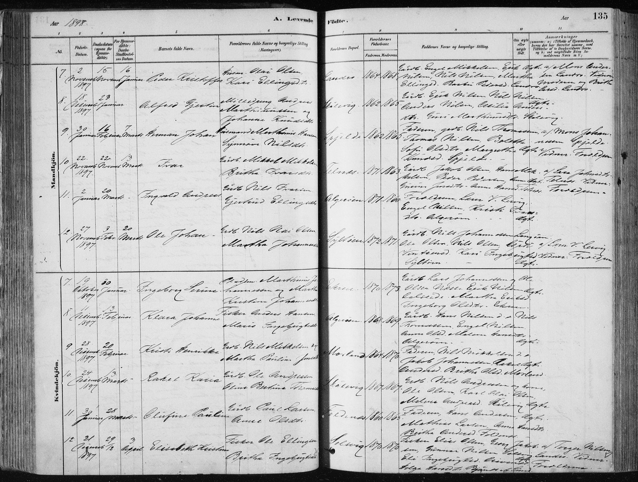 Fjell sokneprestembete, AV/SAB-A-75301/H/Haa: Parish register (official) no. A  8, 1878-1898, p. 135