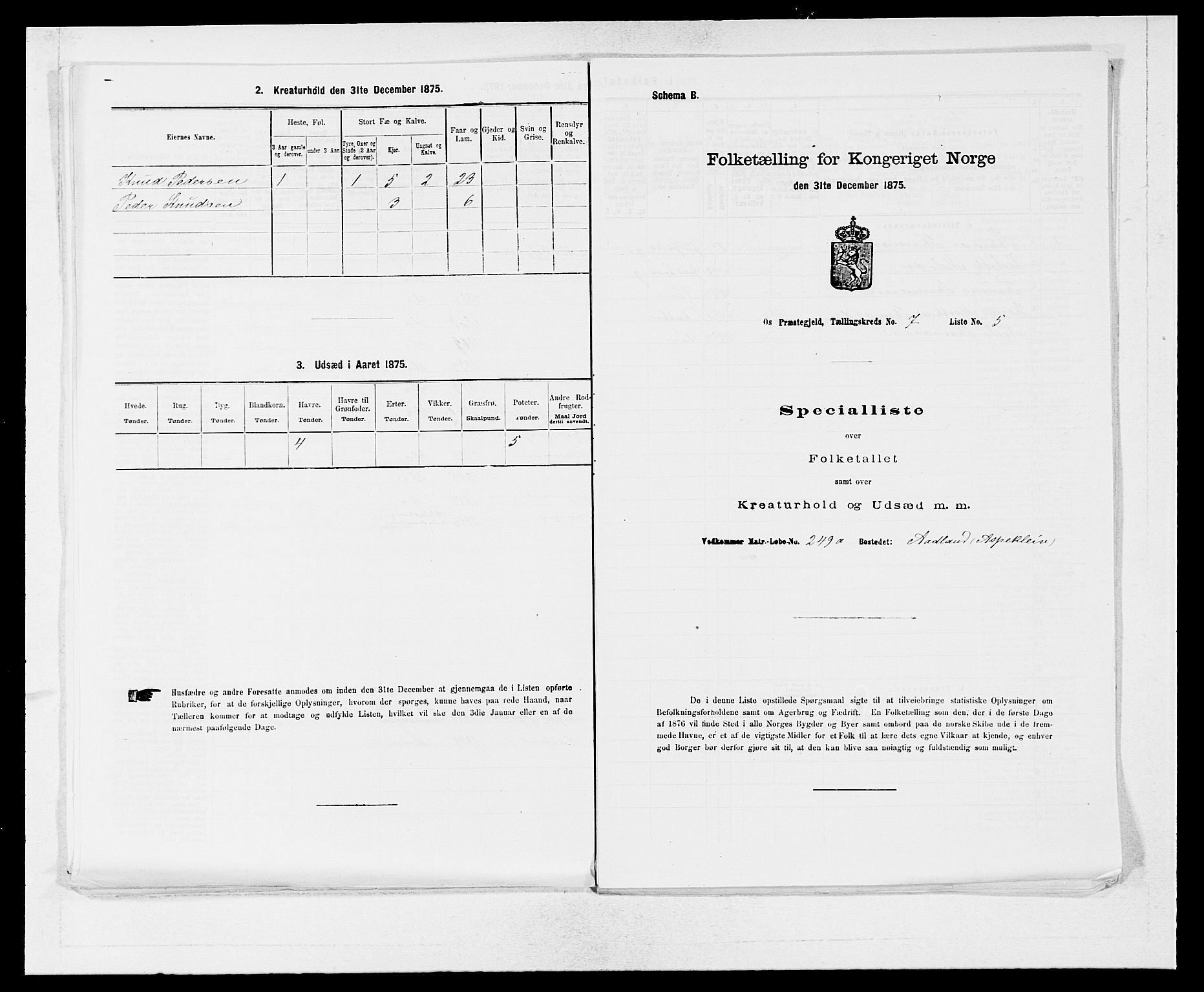 SAB, 1875 census for 1243P Os, 1875, p. 906