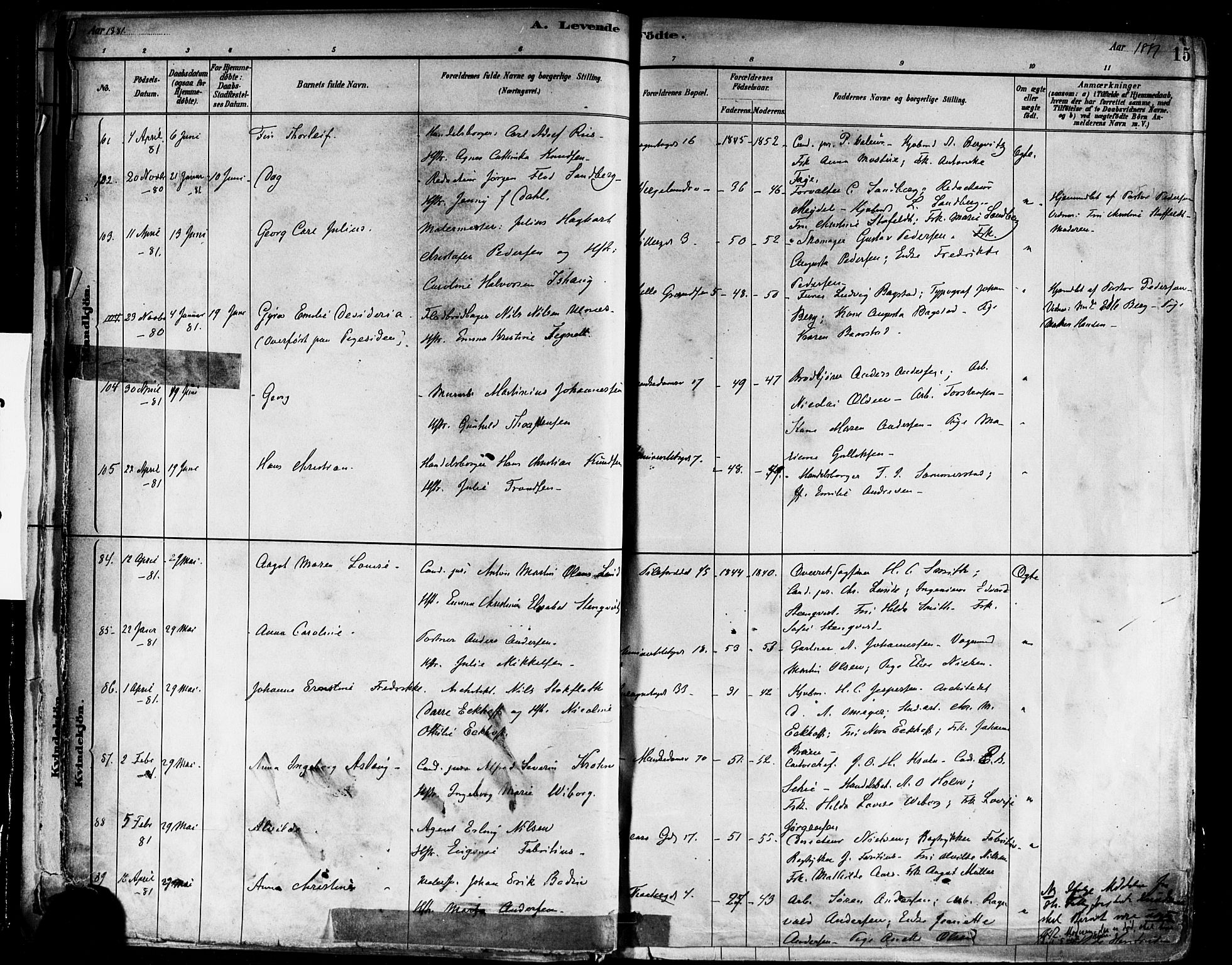 Trefoldighet prestekontor Kirkebøker, AV/SAO-A-10882/F/Fa/L0005: Parish register (official) no. I 5, 1881-1891, p. 15