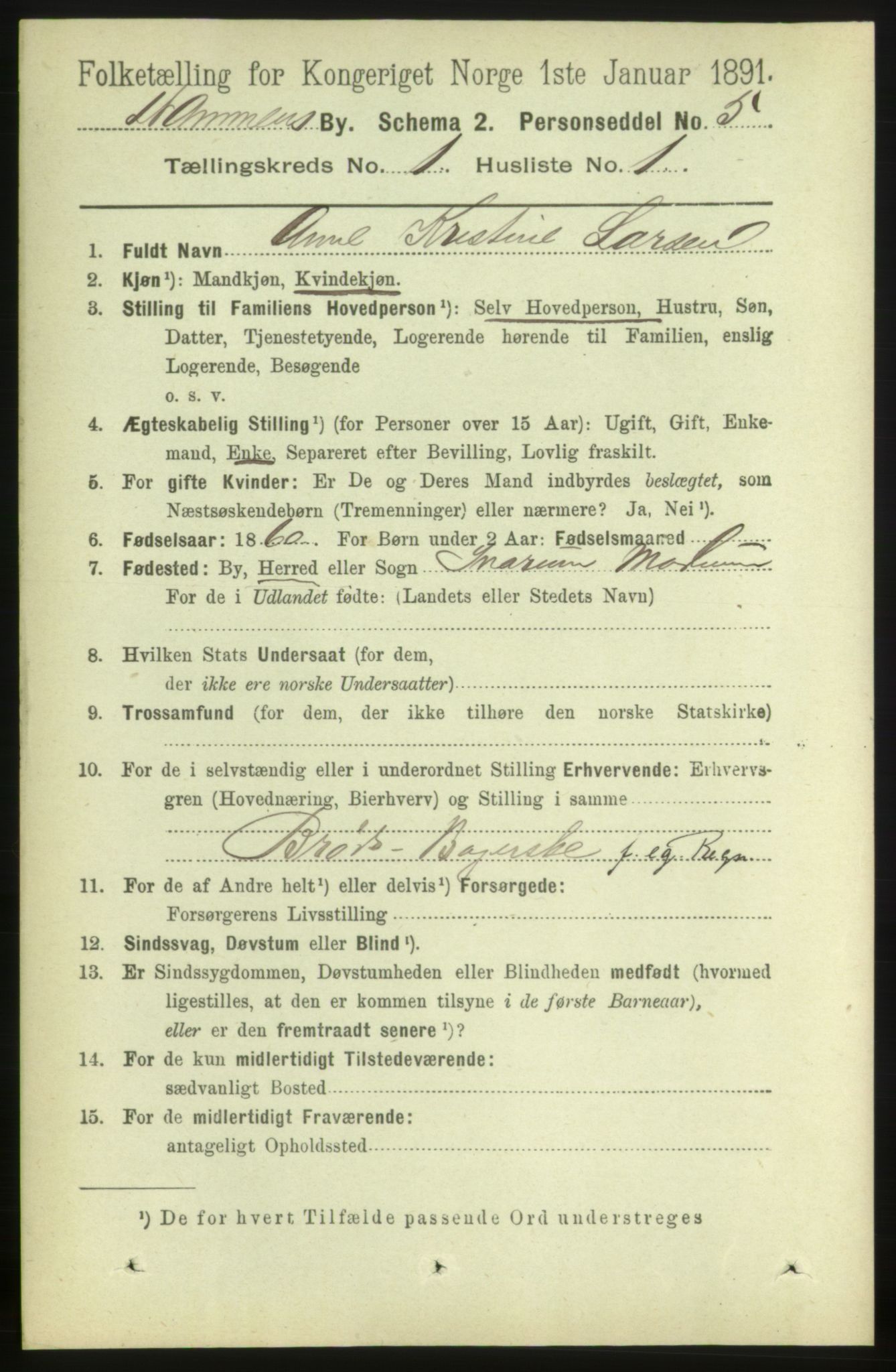 RA, 1891 census for 0602 Drammen, 1891, p. 3898