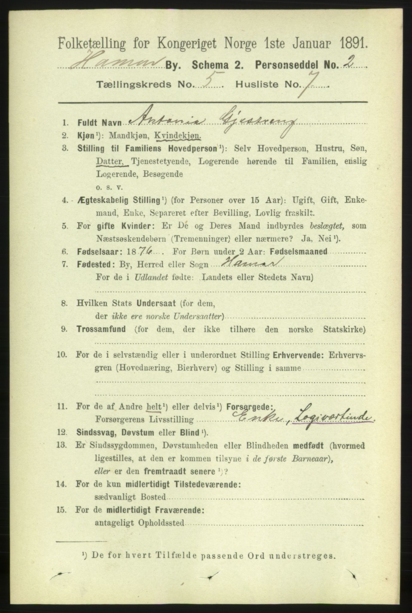 RA, 1891 census for 0401 Hamar, 1891, p. 3764