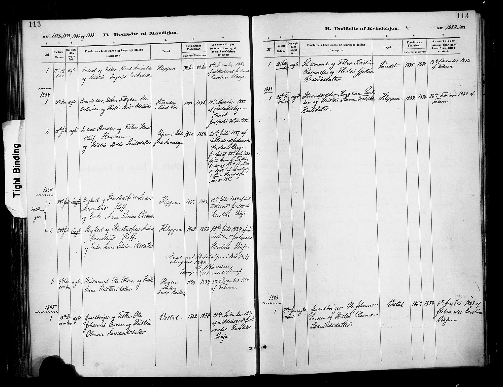 Ministerialprotokoller, klokkerbøker og fødselsregistre - Møre og Romsdal, SAT/A-1454/566/L0769: Parish register (official) no. 566A08, 1881-1903, p. 113