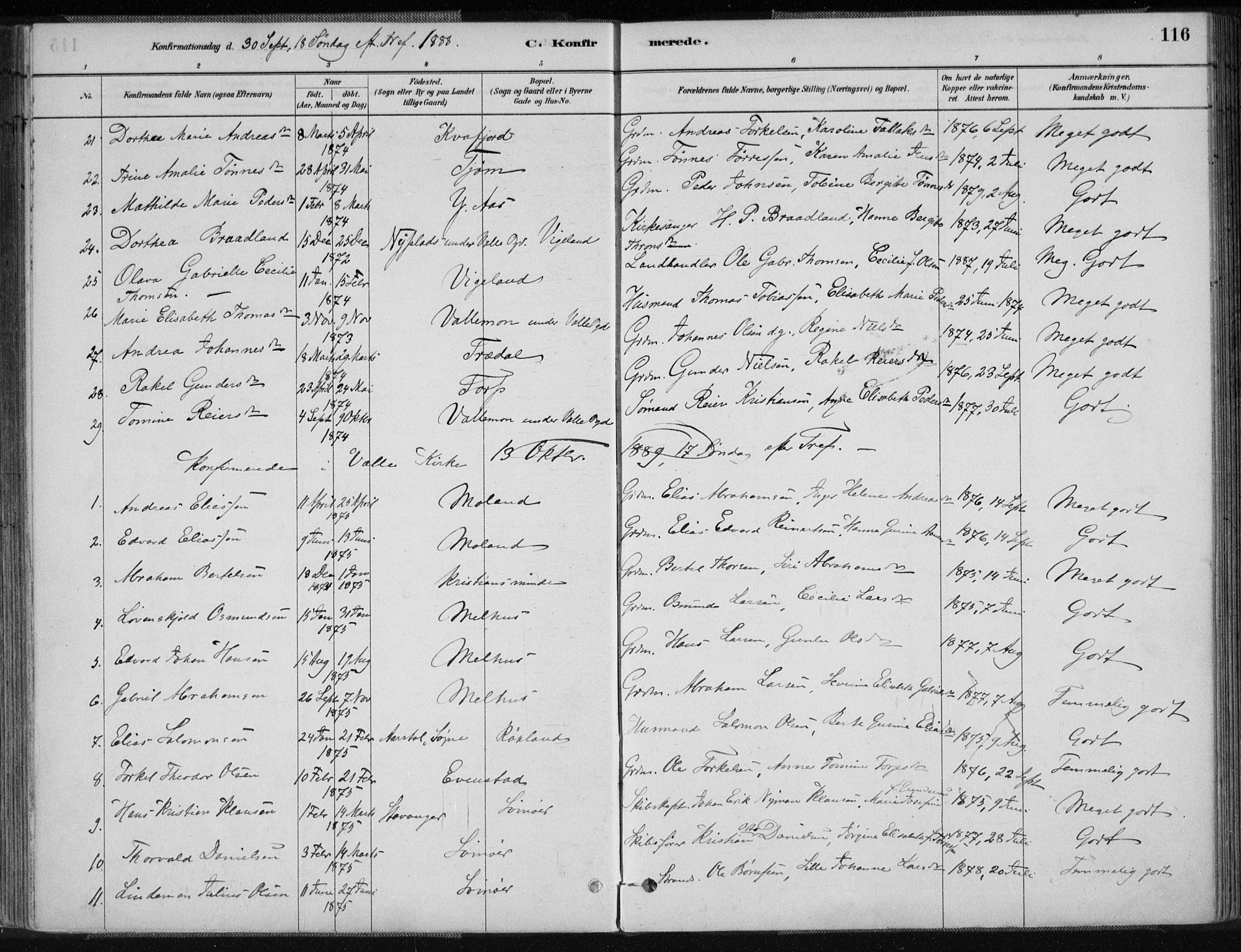 Sør-Audnedal sokneprestkontor, AV/SAK-1111-0039/F/Fa/Fab/L0009: Parish register (official) no. A 9, 1880-1895, p. 116