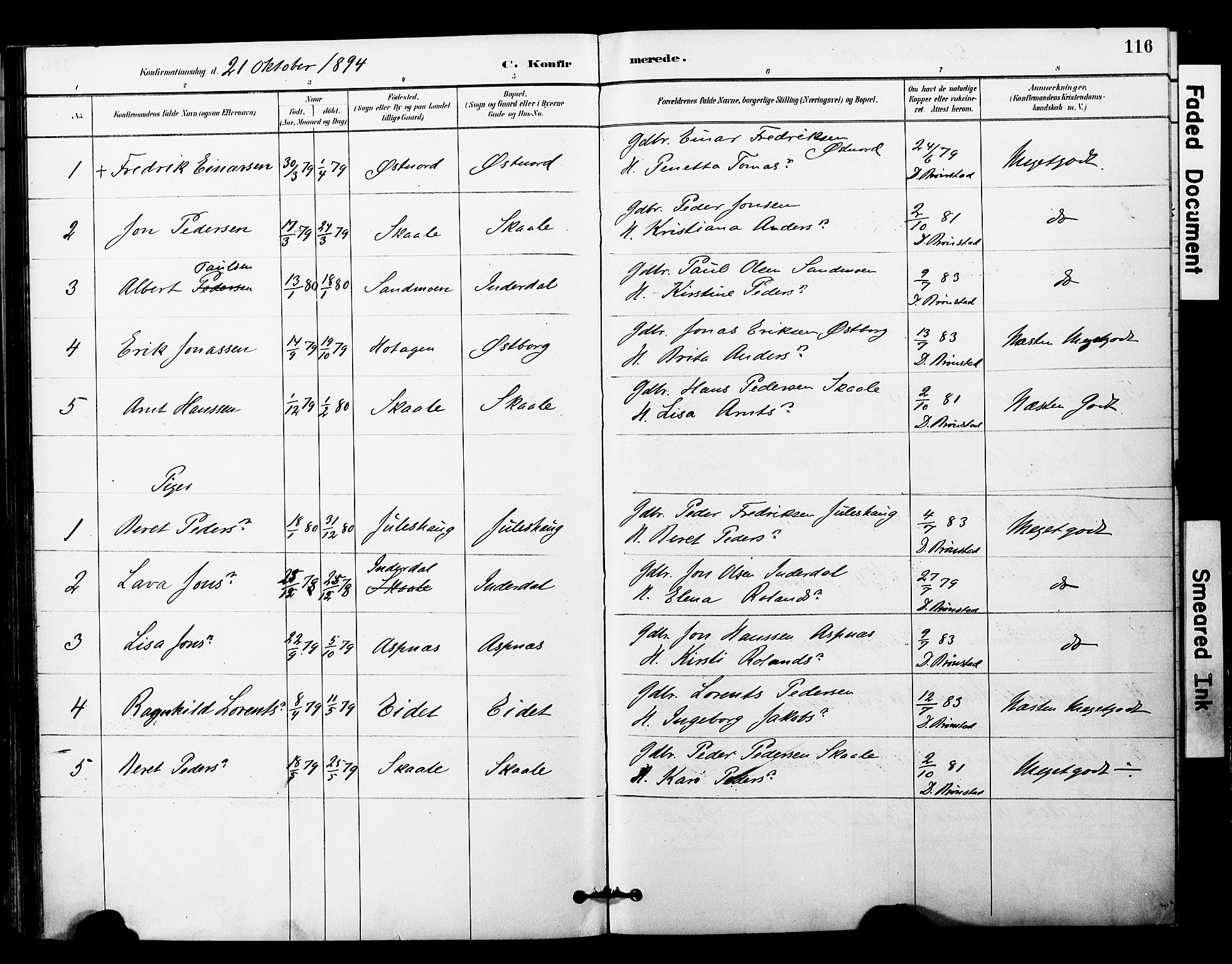 Ministerialprotokoller, klokkerbøker og fødselsregistre - Nord-Trøndelag, AV/SAT-A-1458/757/L0505: Parish register (official) no. 757A01, 1882-1904, p. 116