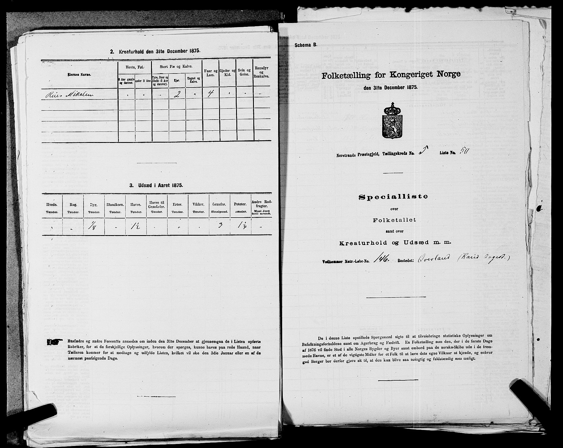 SAST, 1875 census for 1139P Nedstrand, 1875, p. 436