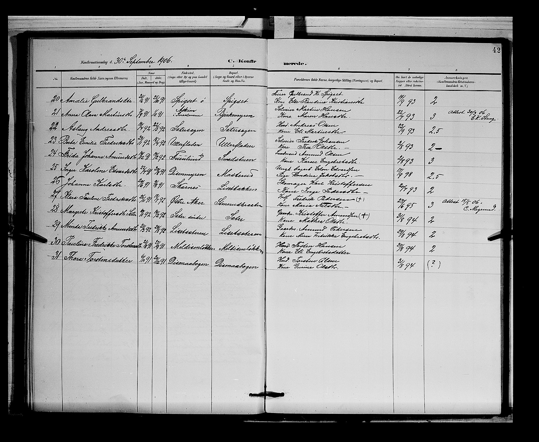 Sør-Odal prestekontor, AV/SAH-PREST-030/H/Ha/Hab/L0004: Parish register (copy) no. 4, 1895-1906, p. 42