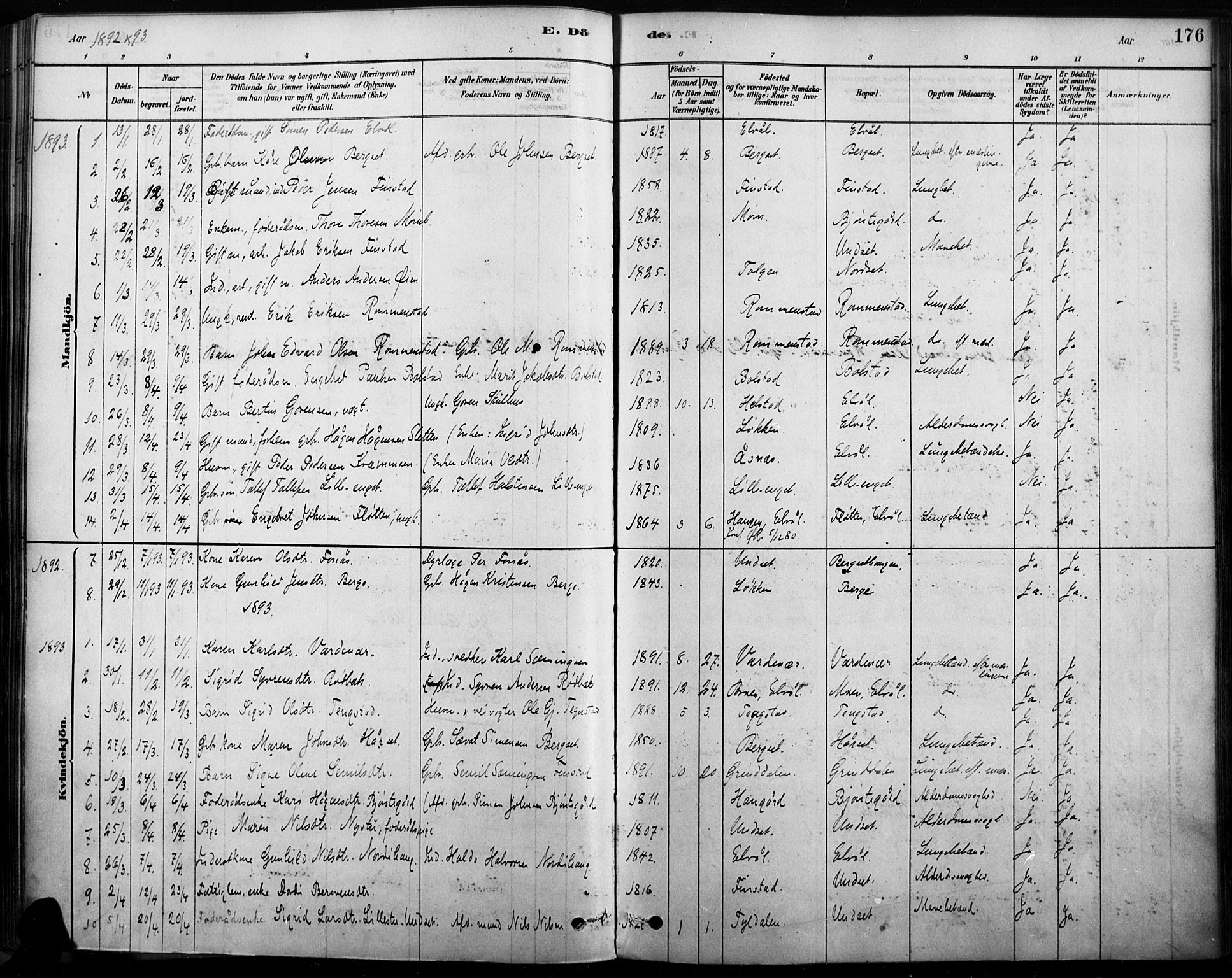 Rendalen prestekontor, AV/SAH-PREST-054/H/Ha/Haa/L0009: Parish register (official) no. 9, 1878-1901, p. 176