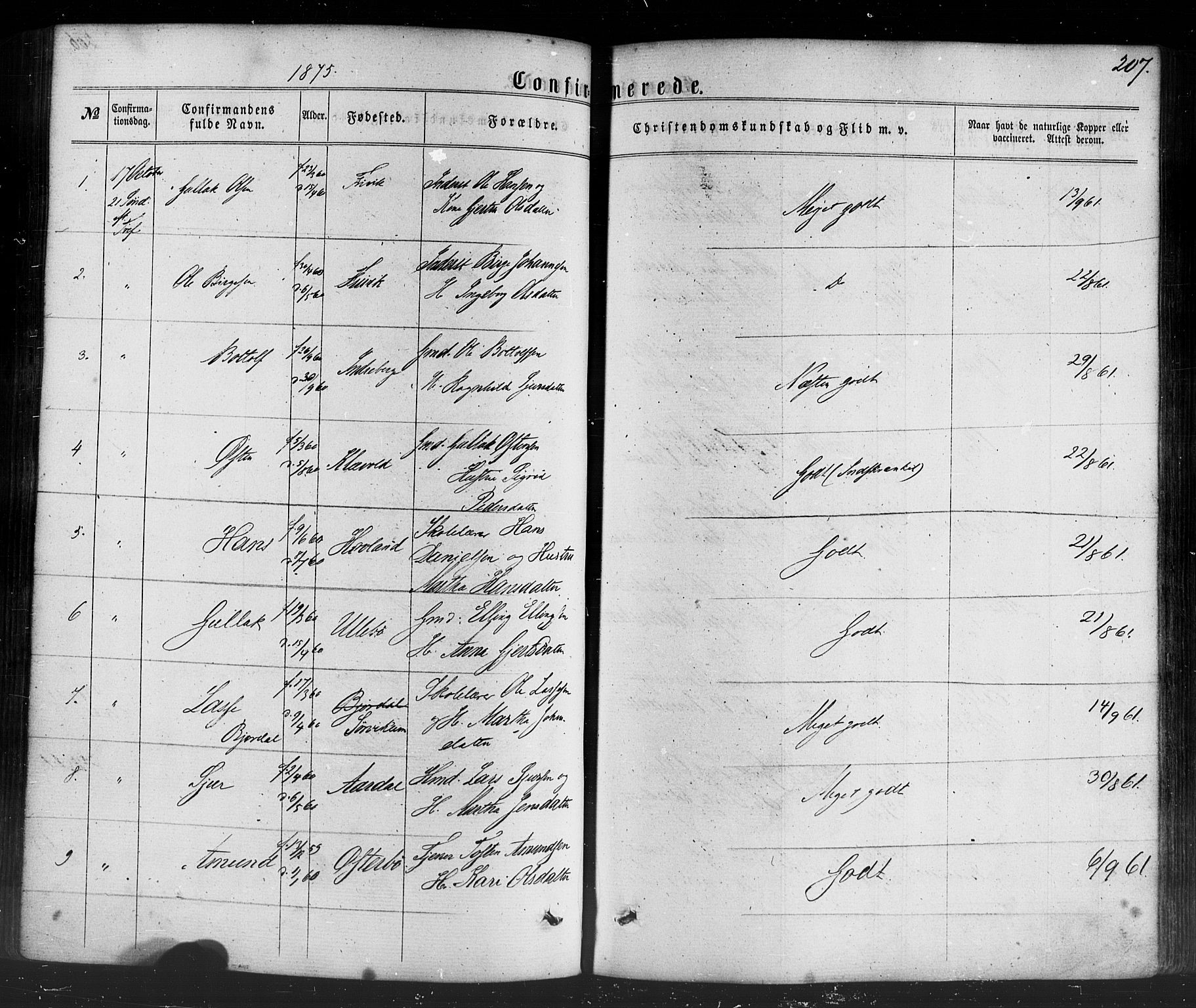 Lavik sokneprestembete, SAB/A-80901: Parish register (official) no. A 4, 1864-1881, p. 207