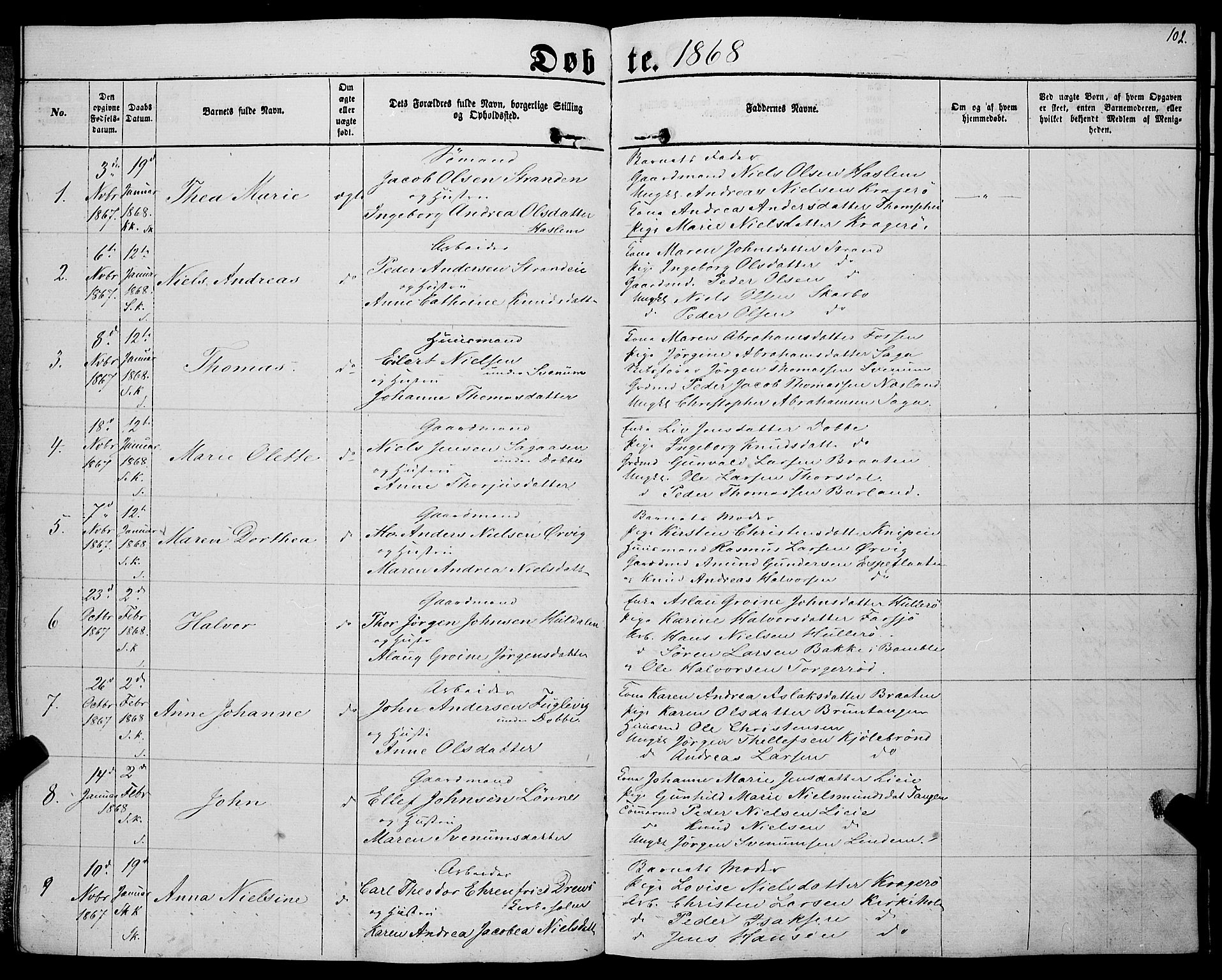 Sannidal kirkebøker, SAKO/A-296/F/Fa/L0011: Parish register (official) no. 11, 1863-1873, p. 102