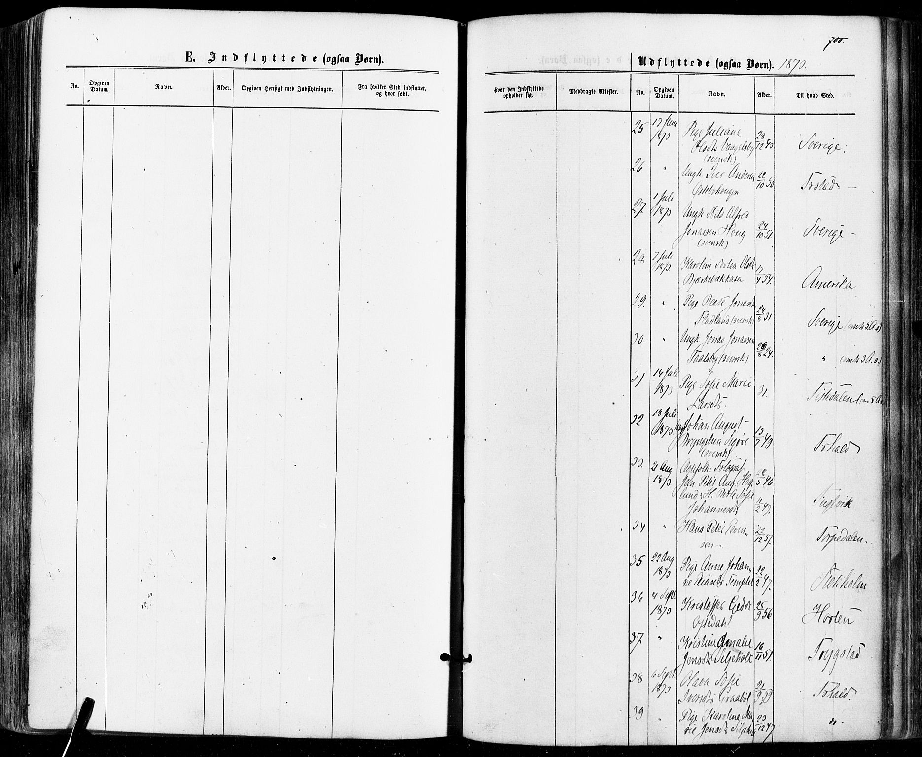 Aremark prestekontor Kirkebøker, SAO/A-10899/F/Fc/L0004: Parish register (official) no. III 4, 1866-1877, p. 699-700