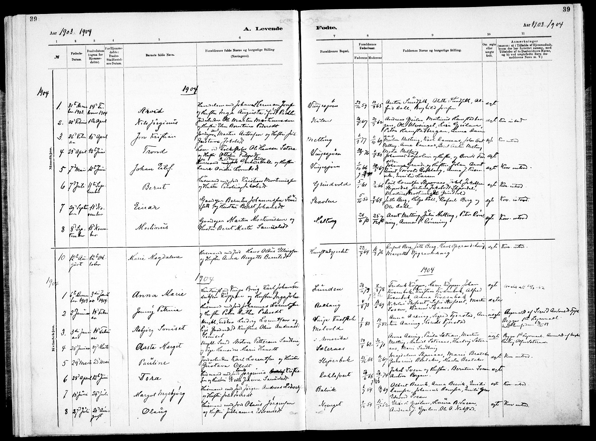 Ministerialprotokoller, klokkerbøker og fødselsregistre - Nord-Trøndelag, SAT/A-1458/733/L0325: Parish register (official) no. 733A04, 1884-1908, p. 39