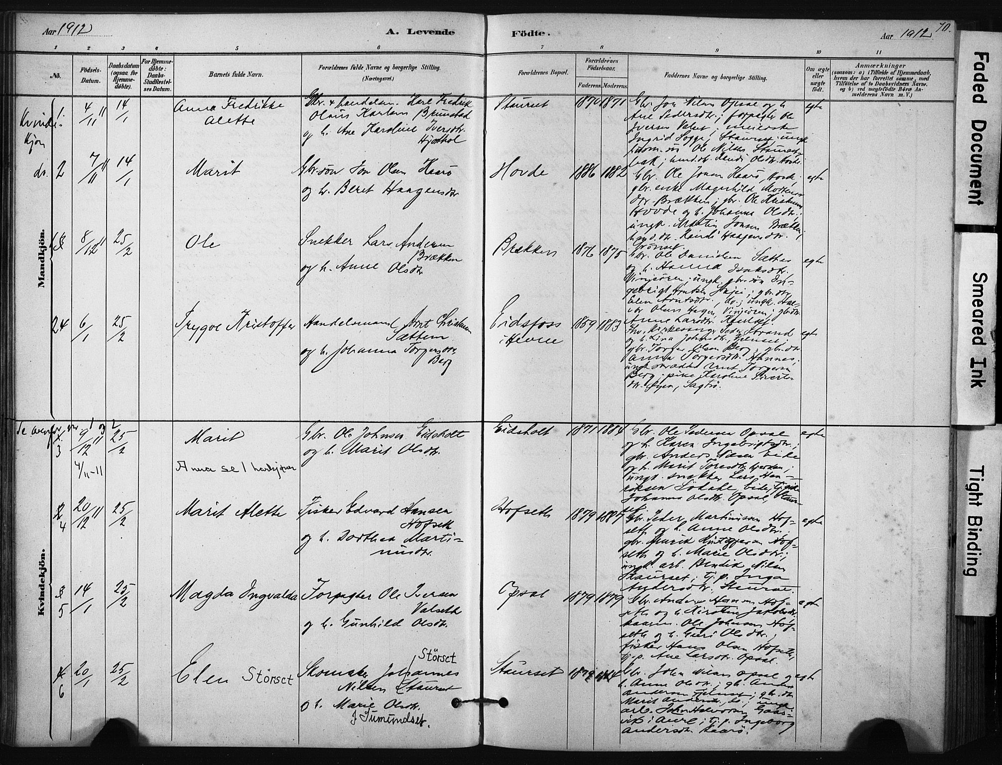 Ministerialprotokoller, klokkerbøker og fødselsregistre - Sør-Trøndelag, SAT/A-1456/631/L0512: Parish register (official) no. 631A01, 1879-1912, p. 70
