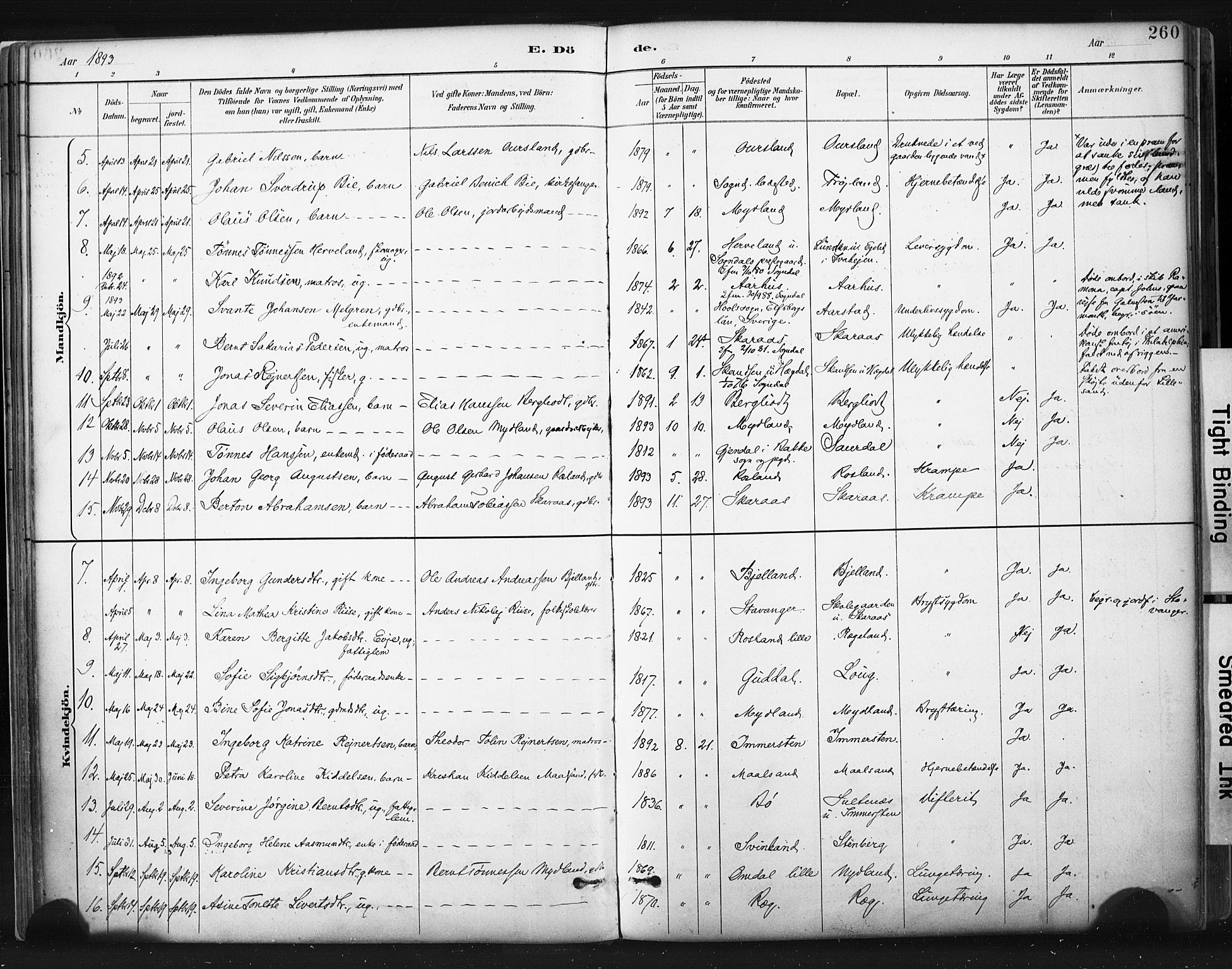 Sokndal sokneprestkontor, AV/SAST-A-101808: Parish register (official) no. A 11.2, 1887-1905, p. 260