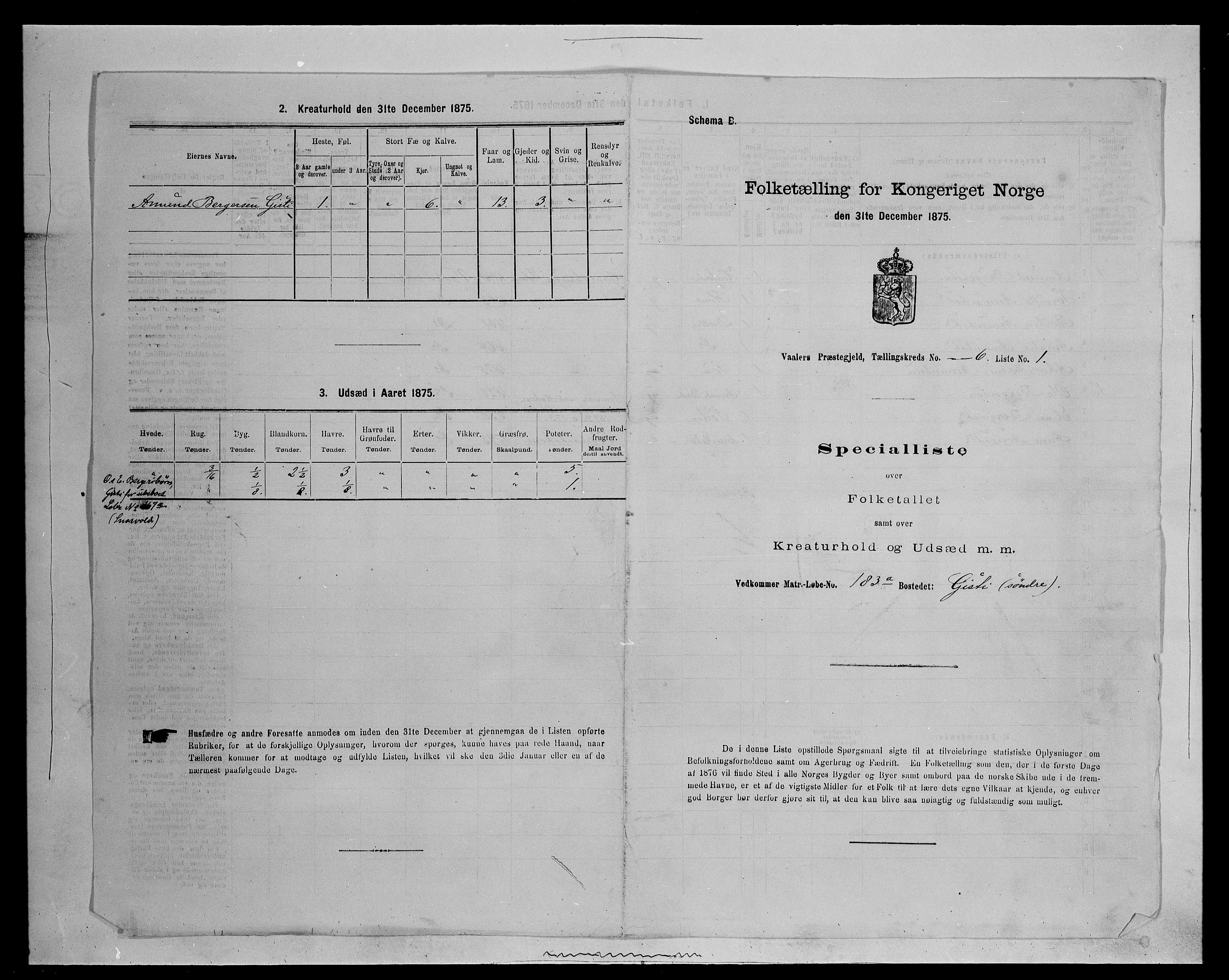 SAH, 1875 census for 0426P Våler parish (Hedmark), 1875, p. 715