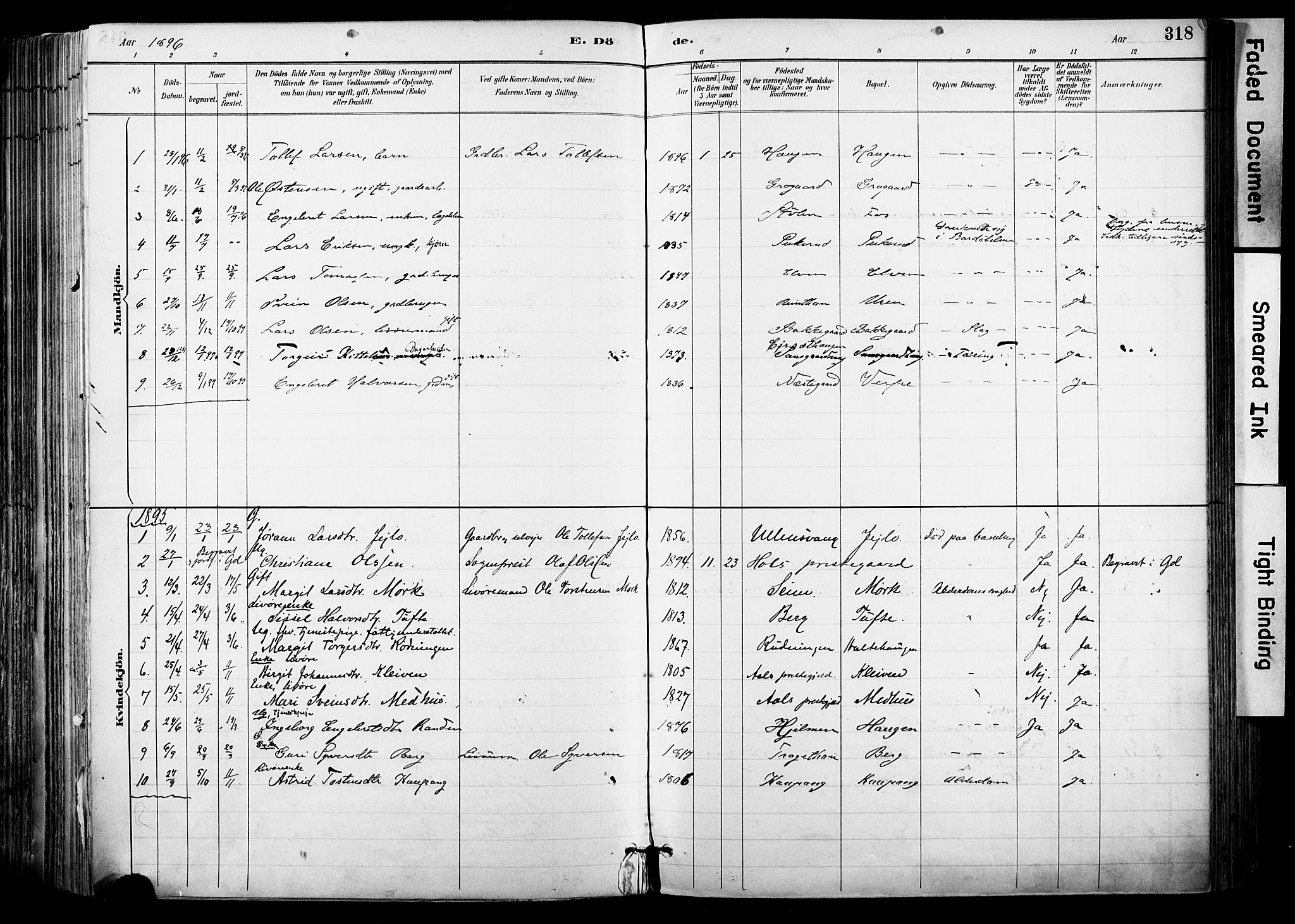 Hol kirkebøker, SAKO/A-227/F/Fa/L0003: Parish register (official) no. I 3, 1887-1918, p. 318