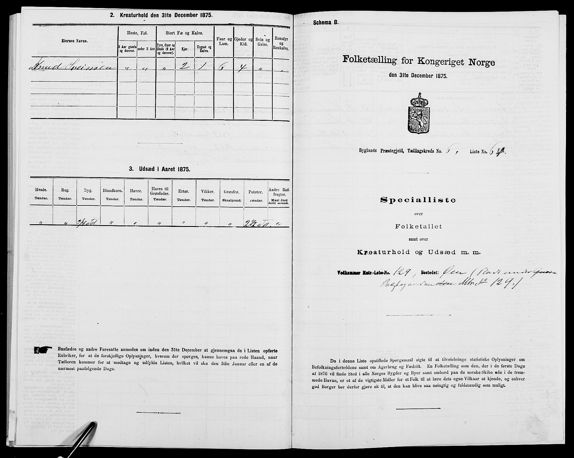SAK, 1875 census for 0938P Bygland, 1875, p. 583