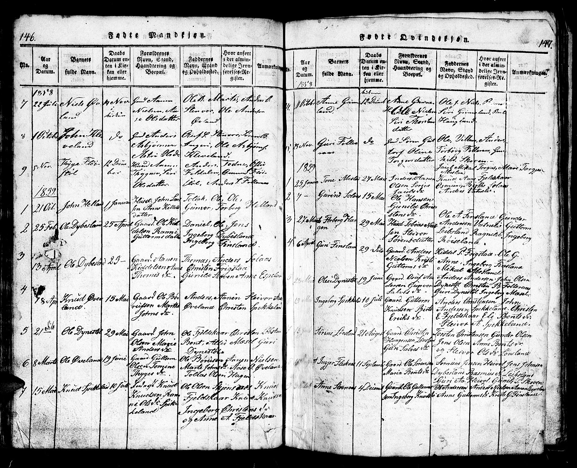 Bjelland sokneprestkontor, SAK/1111-0005/F/Fb/Fbb/L0003: Parish register (copy) no. B 3, 1816-1868, p. 146-147