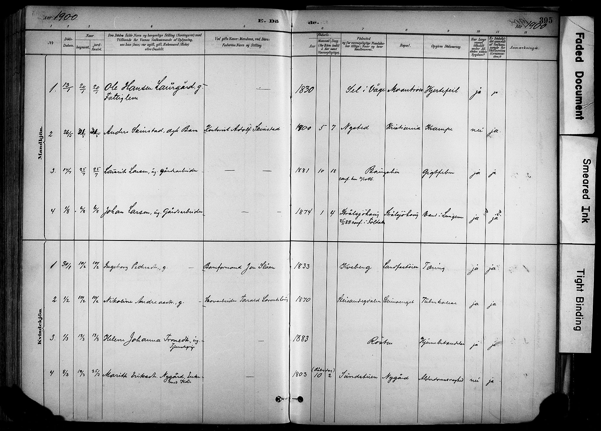 Alvdal prestekontor, SAH/PREST-060/H/Ha/Haa/L0002: Parish register (official) no. 2, 1883-1906, p. 395