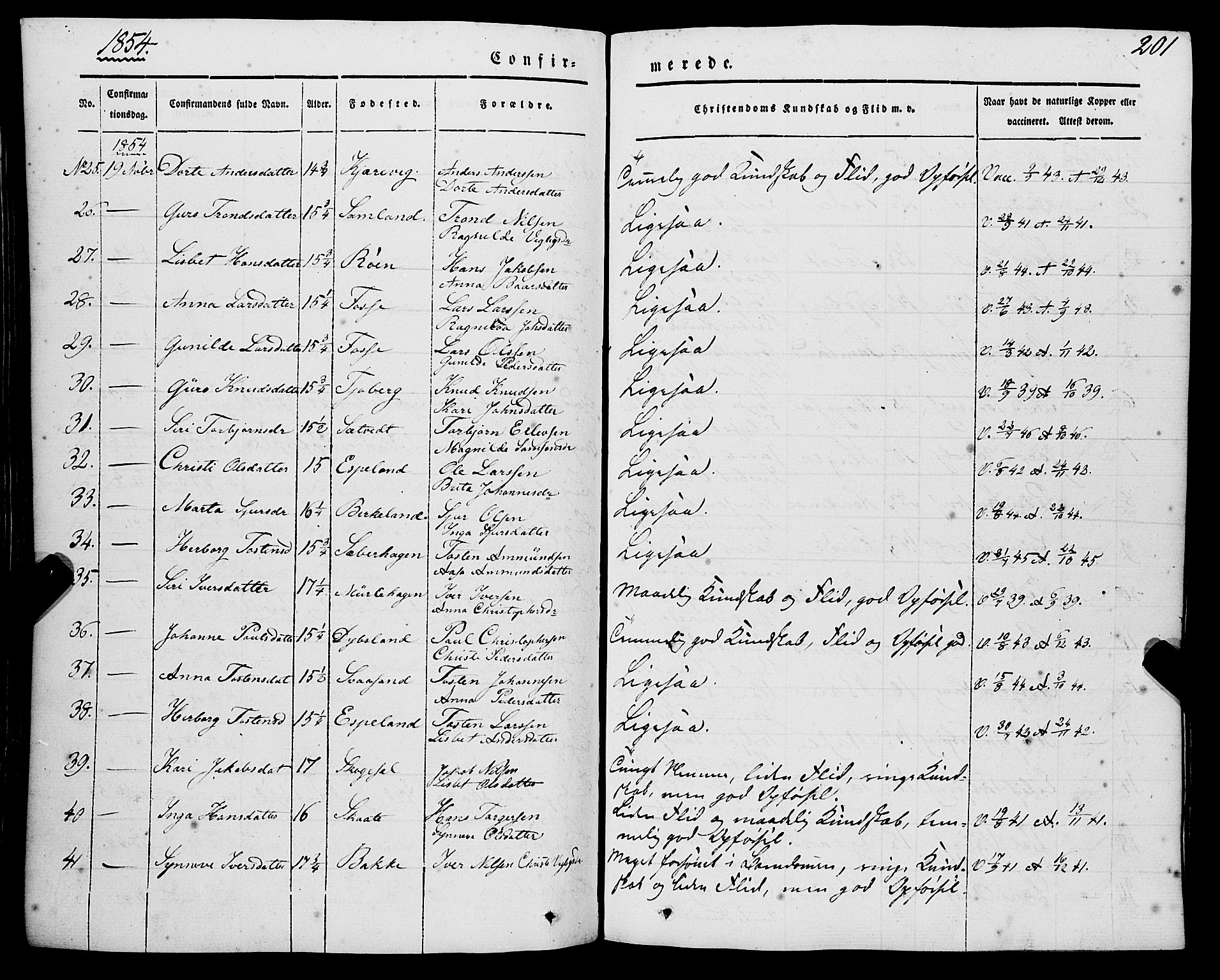 Strandebarm sokneprestembete, AV/SAB-A-78401/H/Haa: Parish register (official) no. A 7, 1844-1872, p. 201