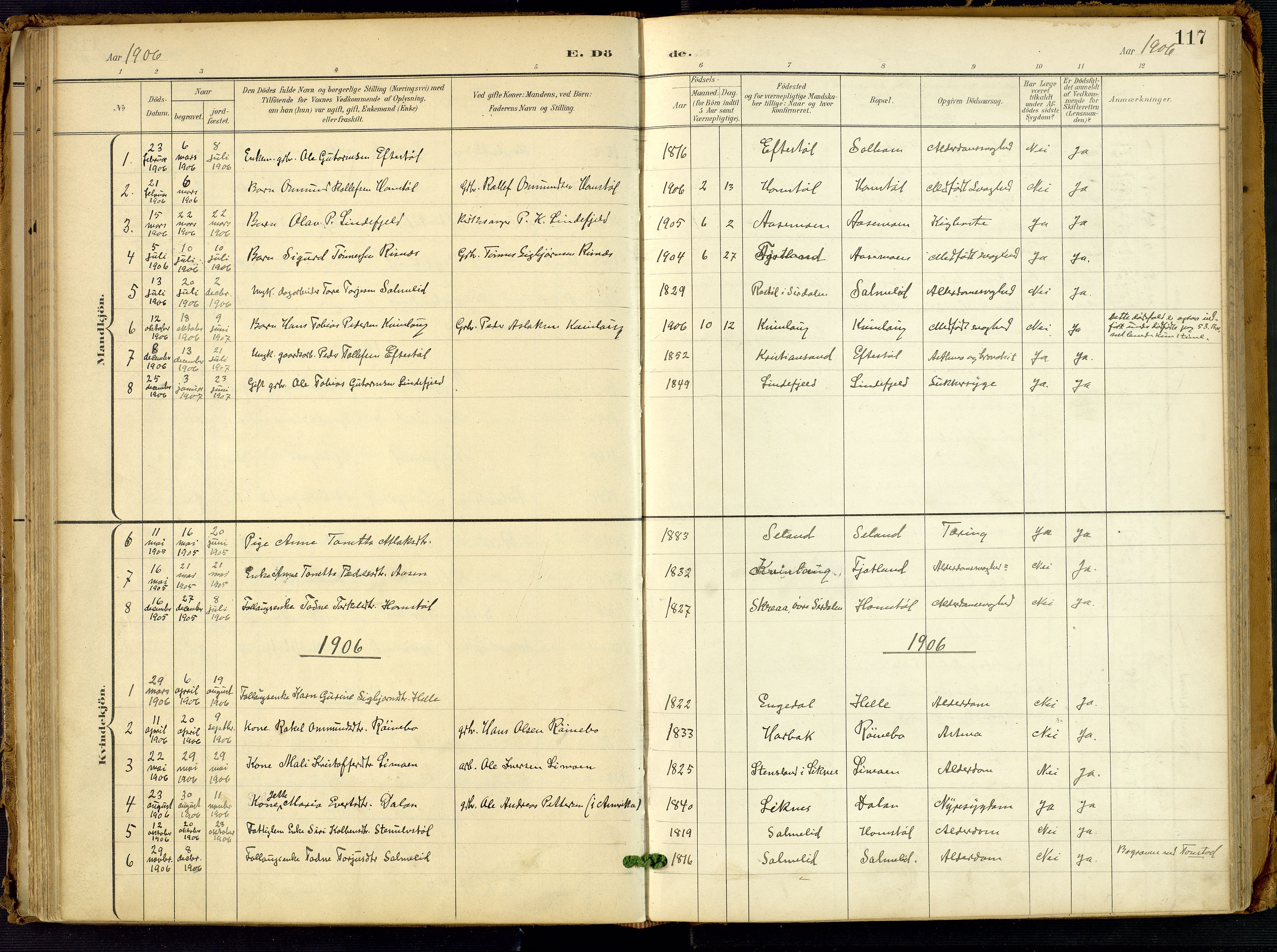 Fjotland sokneprestkontor, SAK/1111-0010/F/Fa/L0003: Parish register (official) no. A 3, 1899-1917, p. 117