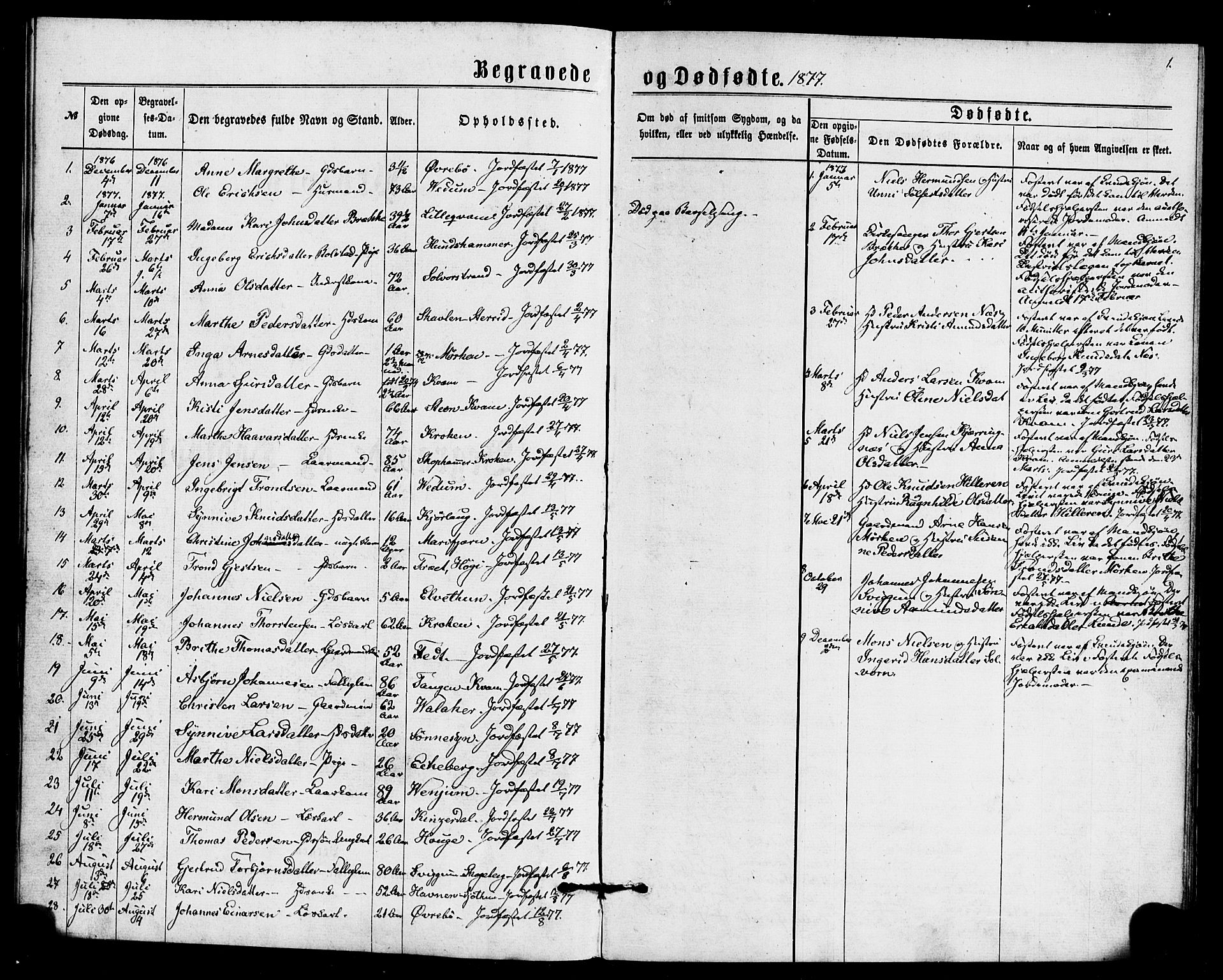 Hafslo sokneprestembete, SAB/A-80301/H/Haa/Haaa/L0014: Parish register (official) no. A 14, 1877-1886, p. 1