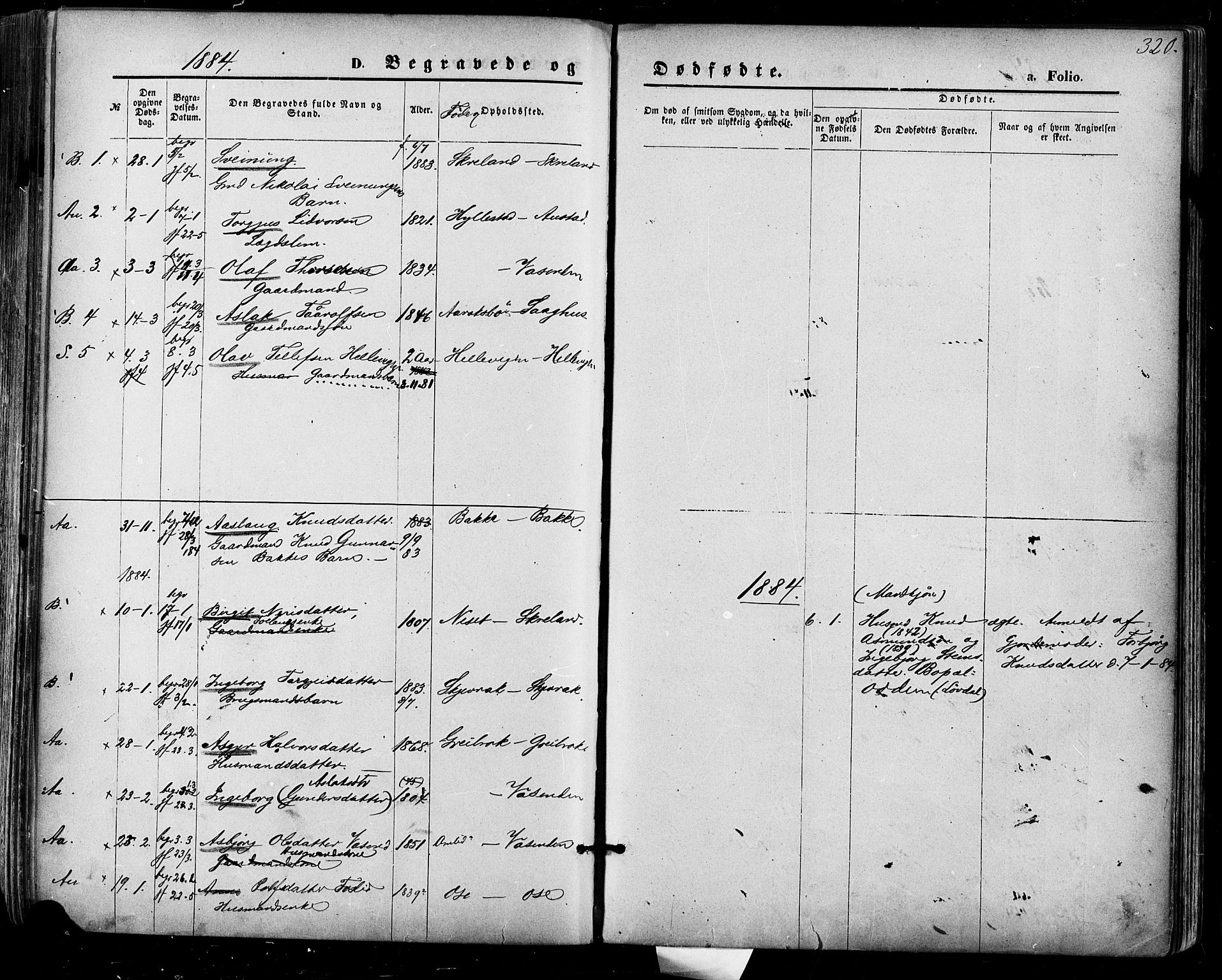 Bygland sokneprestkontor, SAK/1111-0006/F/Fa/Fab/L0006: Parish register (official) no. A 6, 1873-1884, p. 320