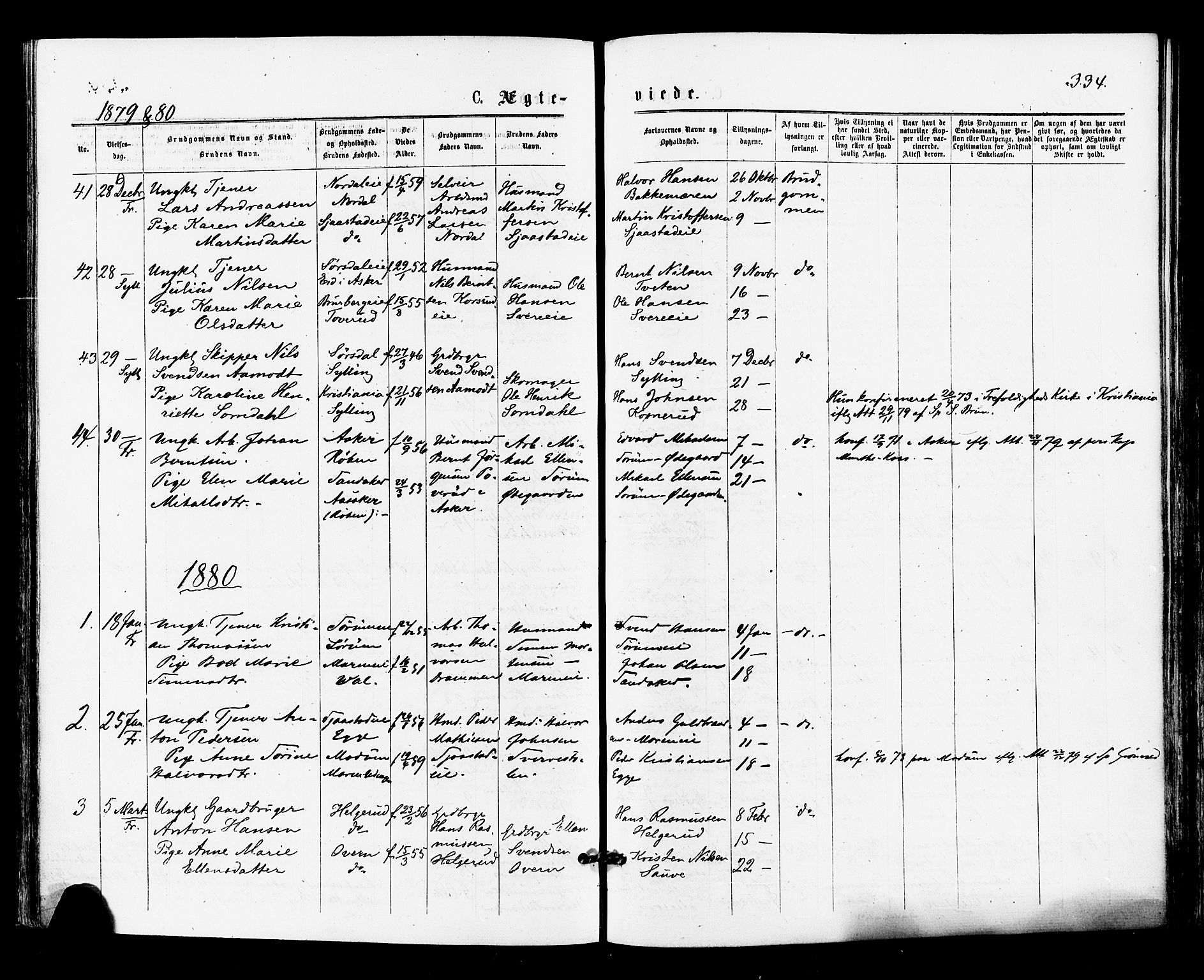 Lier kirkebøker, SAKO/A-230/F/Fa/L0014: Parish register (official) no. I 14, 1875-1882, p. 334