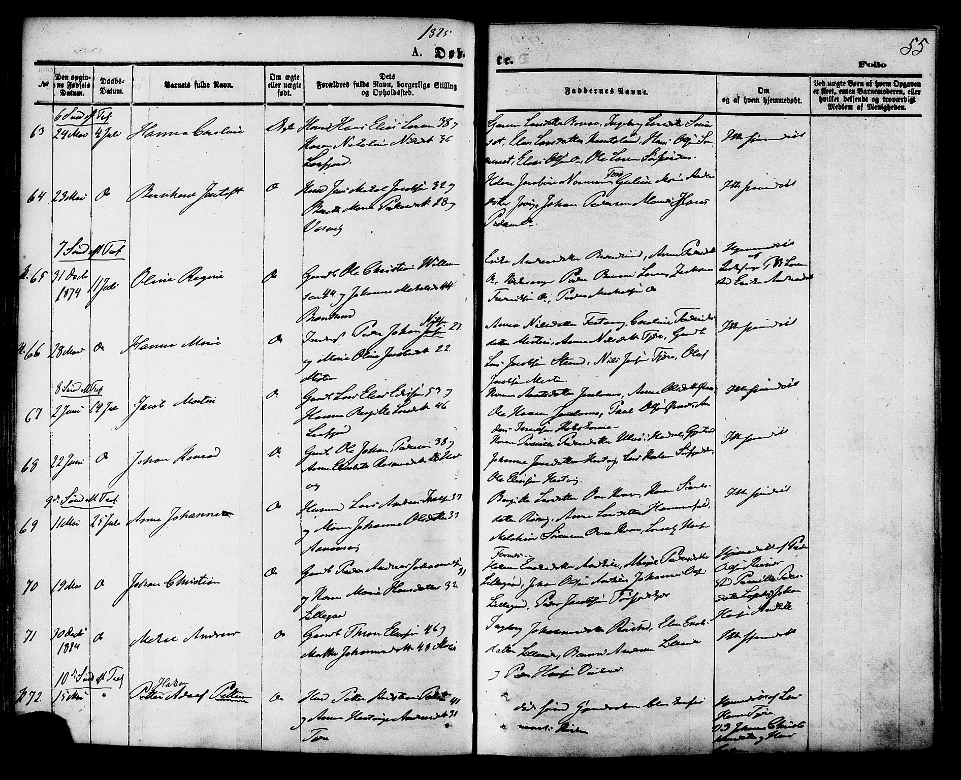 Ministerialprotokoller, klokkerbøker og fødselsregistre - Nordland, AV/SAT-A-1459/853/L0771: Parish register (official) no. 853A10, 1870-1881, p. 55