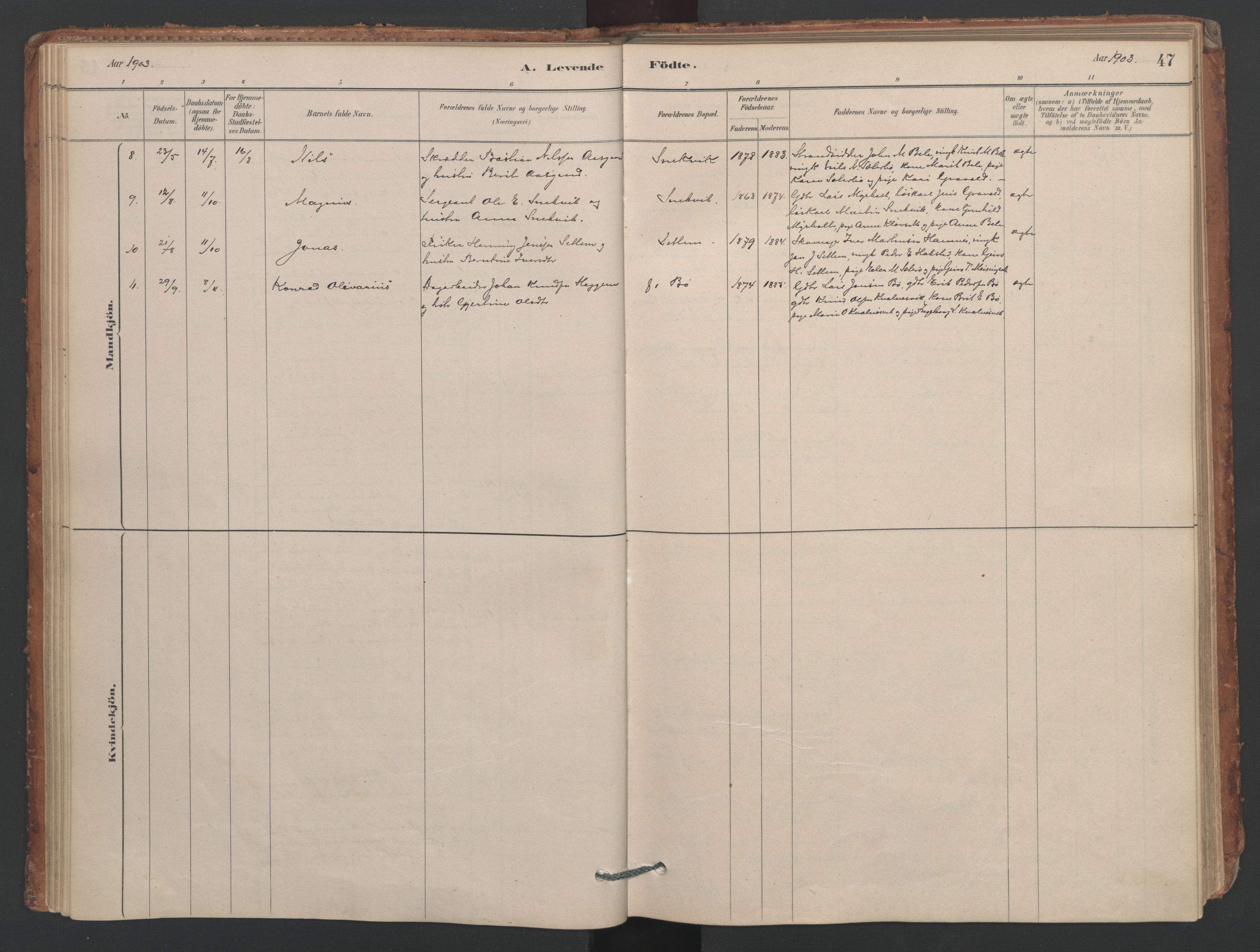 Ministerialprotokoller, klokkerbøker og fødselsregistre - Møre og Romsdal, AV/SAT-A-1454/594/L1036: Parish register (official) no. 594A02 (?), 1879-1910, p. 47