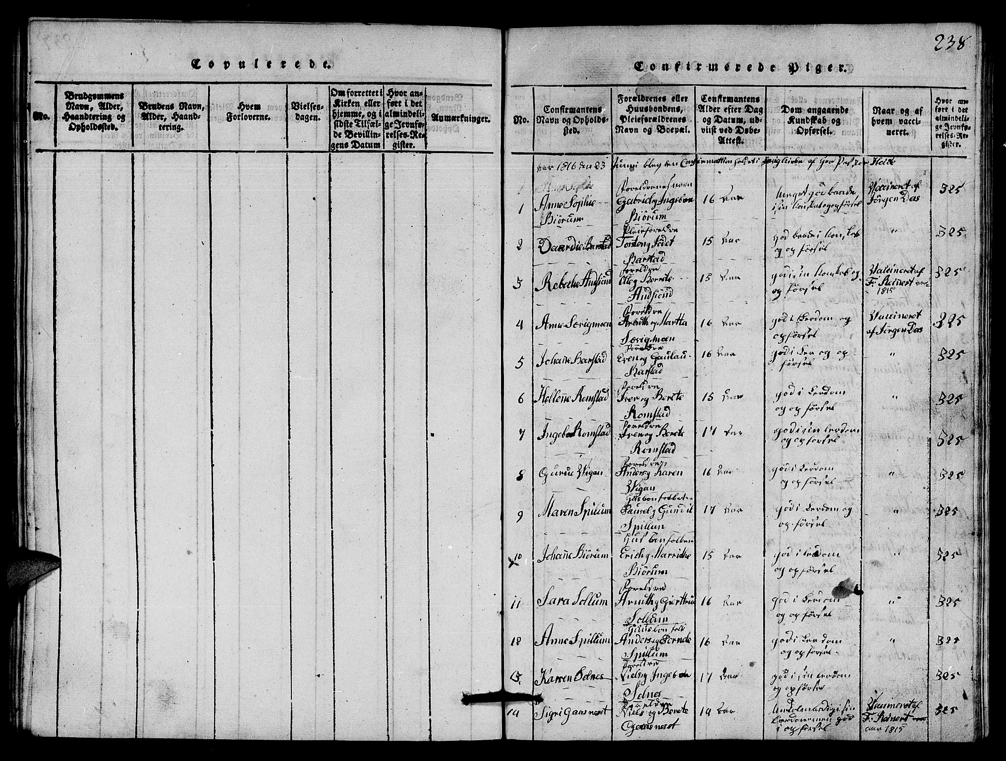 Ministerialprotokoller, klokkerbøker og fødselsregistre - Nord-Trøndelag, SAT/A-1458/770/L0590: Parish register (copy) no. 770C01, 1815-1824, p. 238
