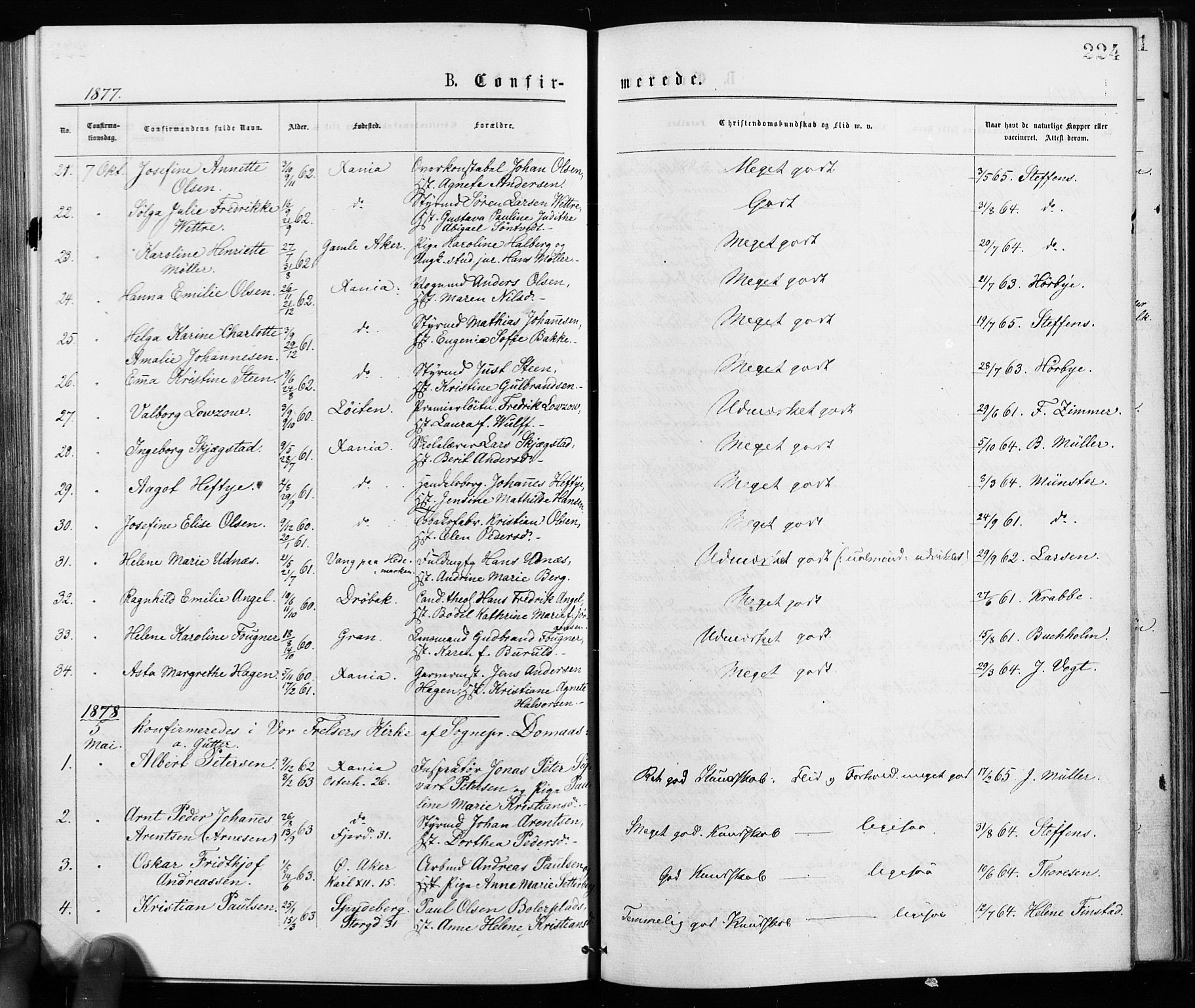 Jakob prestekontor Kirkebøker, SAO/A-10850/F/Fa/L0001: Parish register (official) no. 1, 1875-1924, p. 224