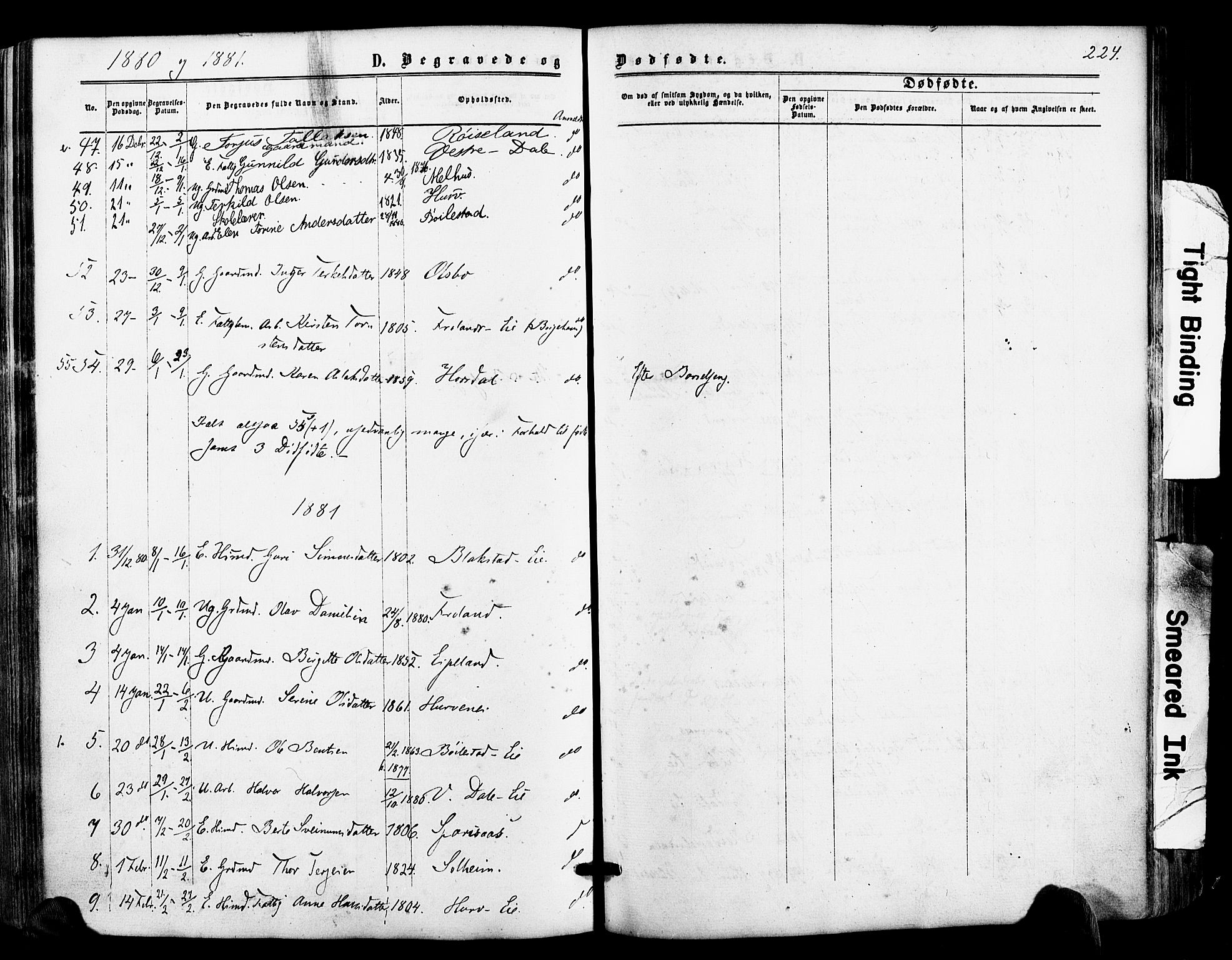 Froland sokneprestkontor, AV/SAK-1111-0013/F/Fa/L0003: Parish register (official) no. A 3, 1864-1881, p. 224