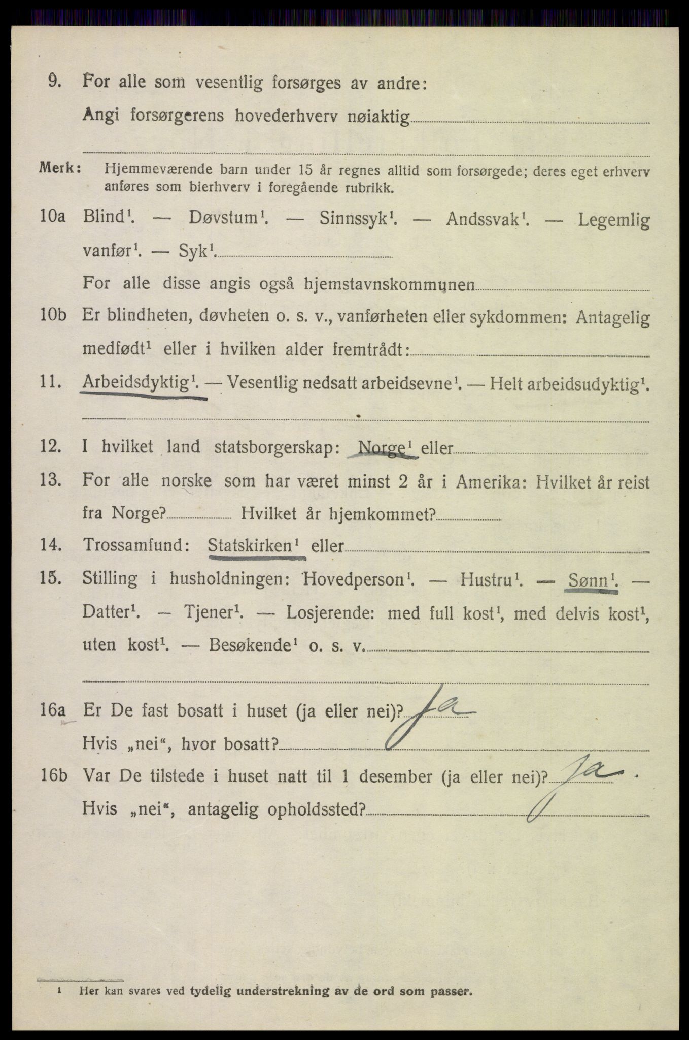 SAH, 1920 census for Skjåk, 1920, p. 4551