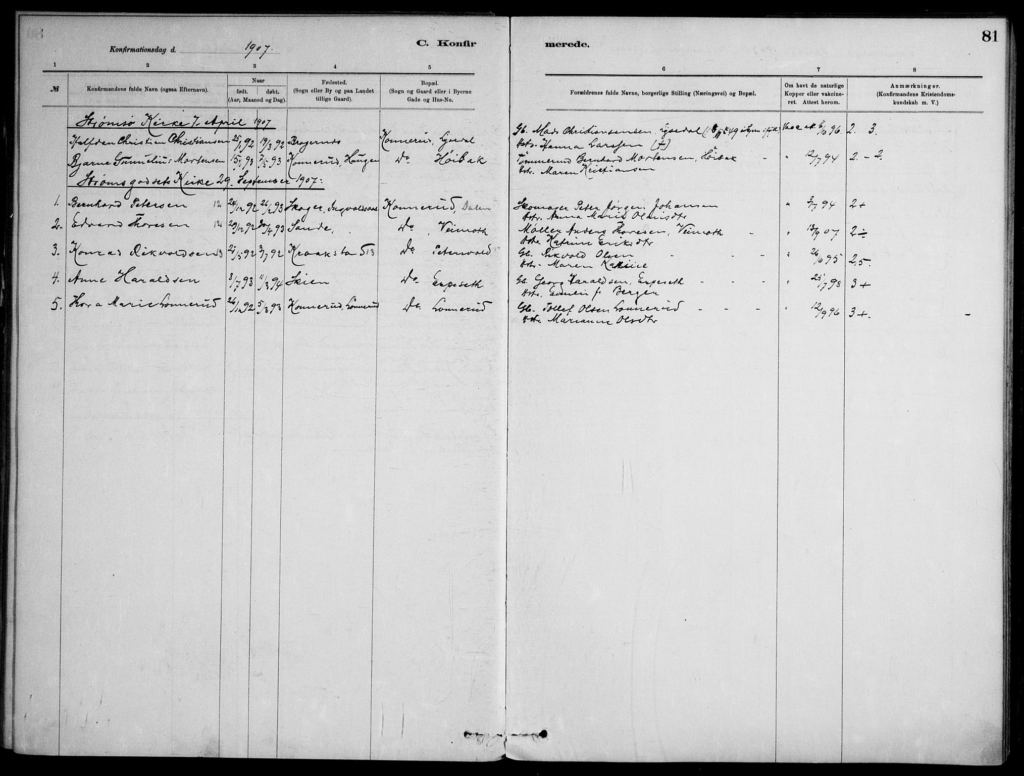 Skoger kirkebøker, AV/SAKO-A-59/F/Fb/L0001: Parish register (official) no. II 1, 1885-1913, p. 81