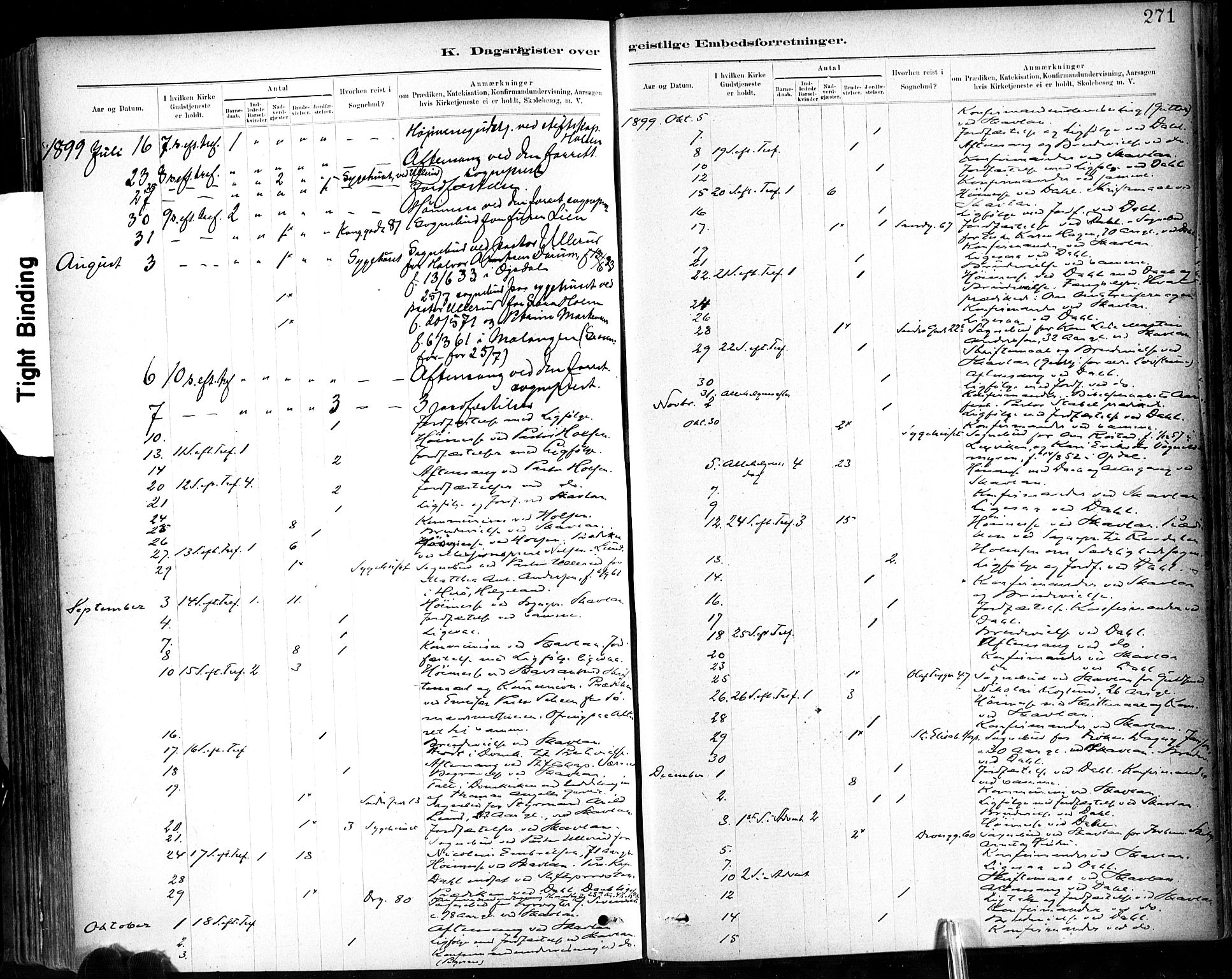 Ministerialprotokoller, klokkerbøker og fødselsregistre - Sør-Trøndelag, SAT/A-1456/602/L0120: Parish register (official) no. 602A18, 1880-1913, p. 271