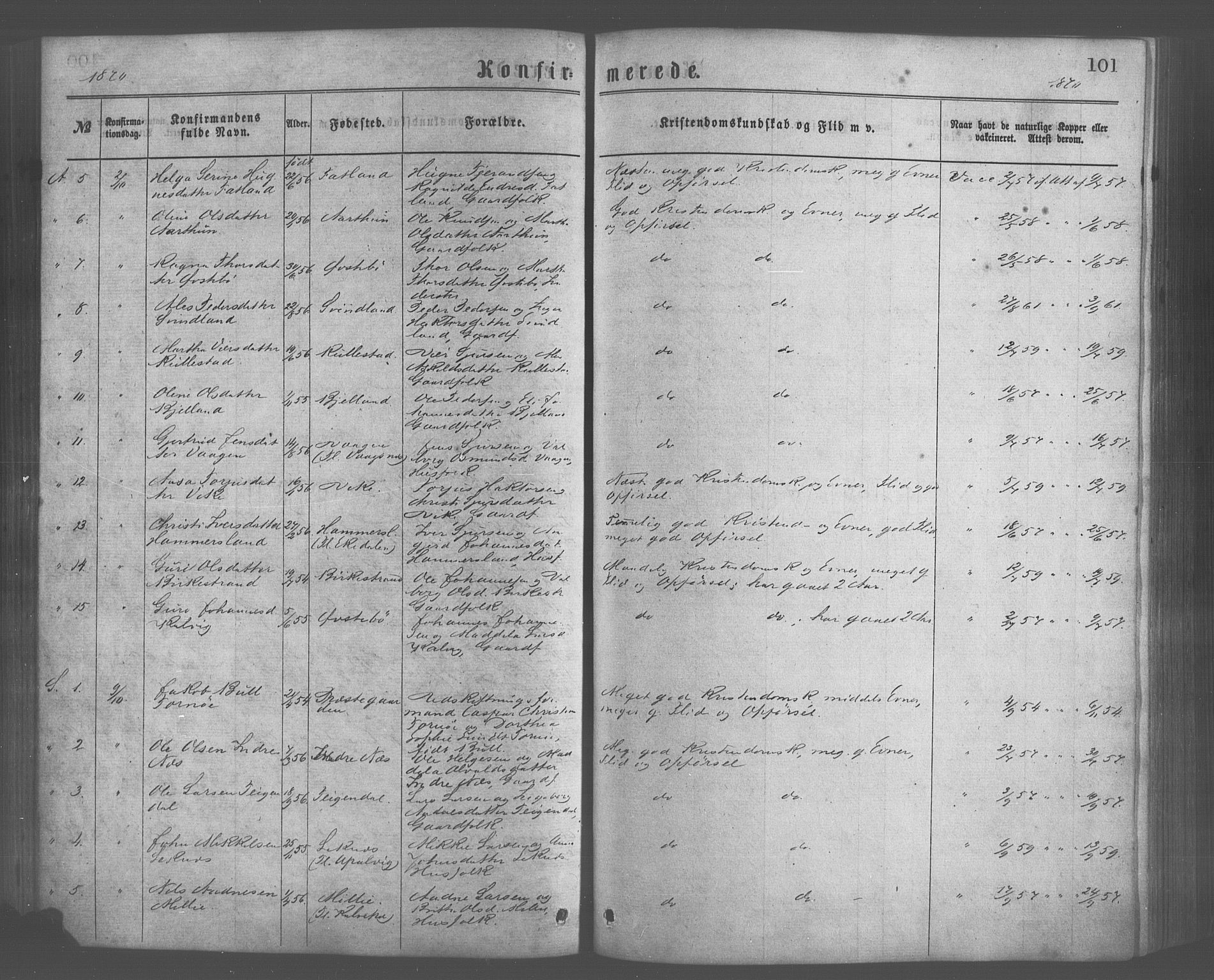 Skånevik sokneprestembete, AV/SAB-A-77801/H/Haa: Parish register (official) no. A 6, 1869-1878, p. 101