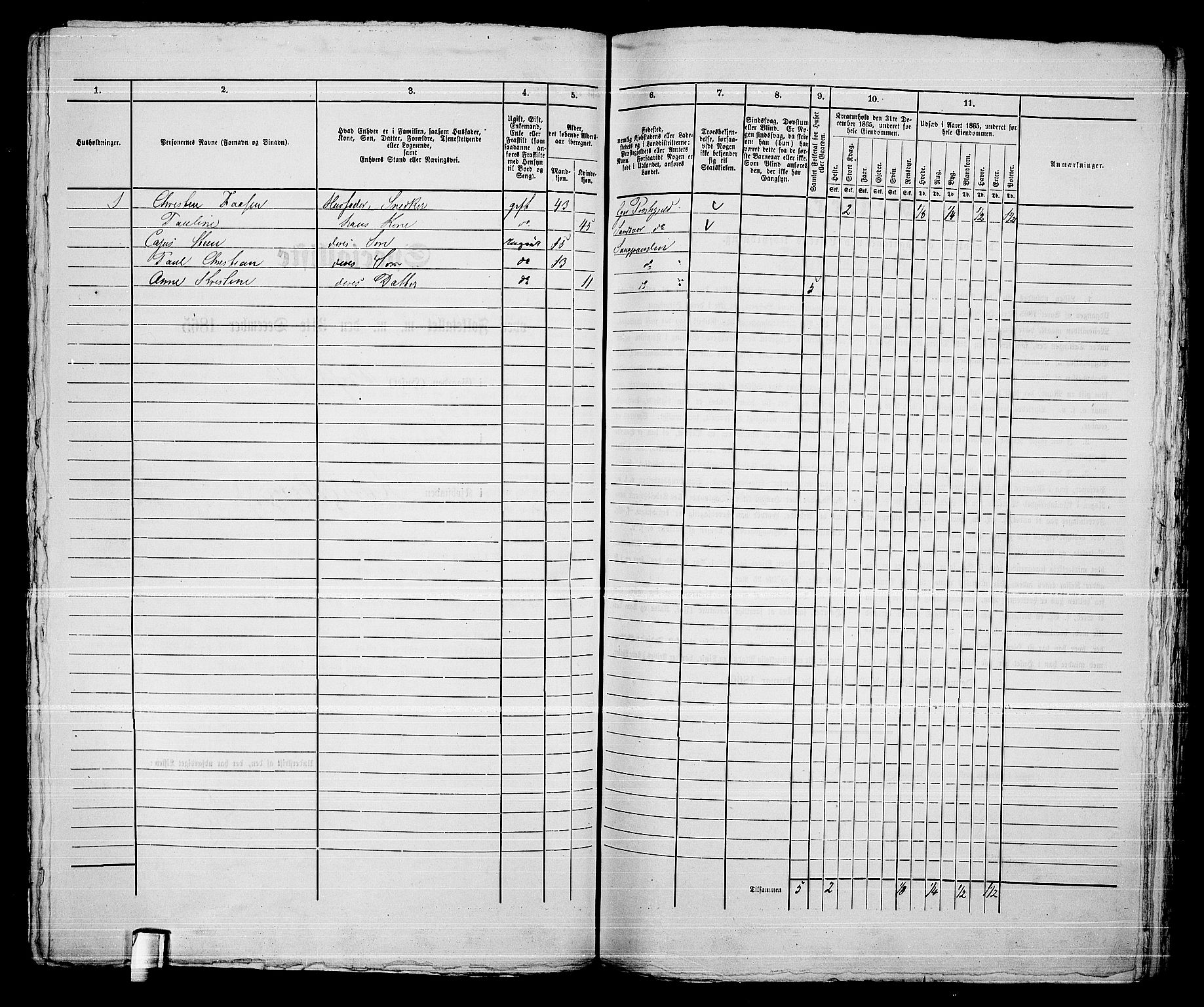 RA, 1865 census for Kongsberg/Kongsberg, 1865, p. 1347