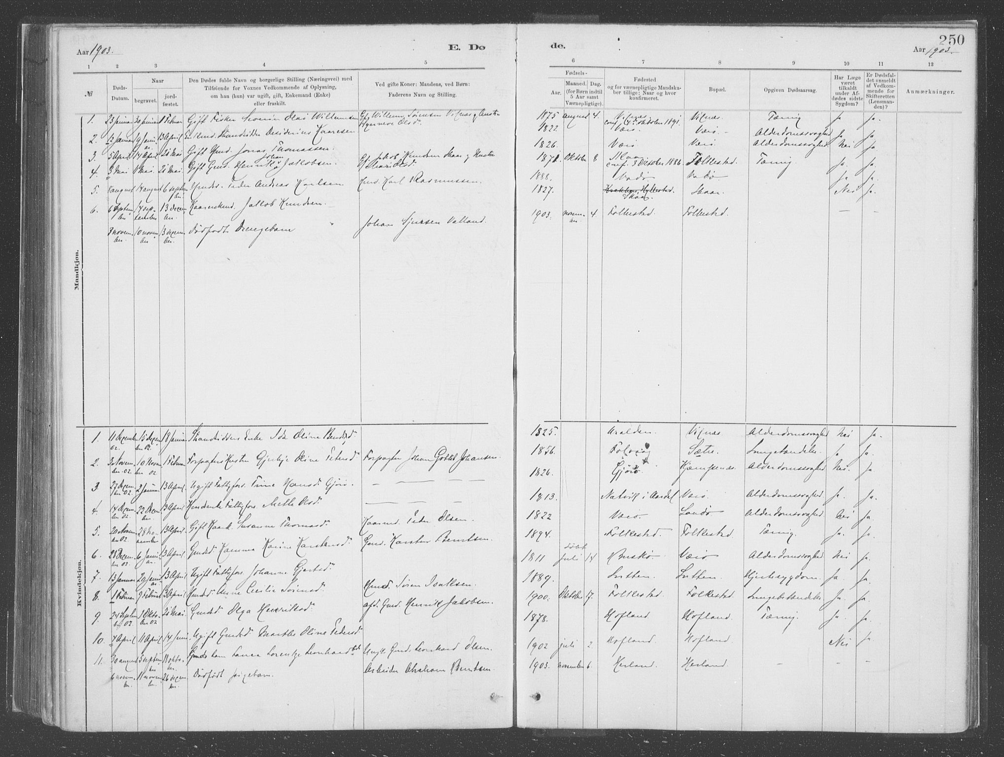 Askvoll sokneprestembete, SAB/A-79501/H/Haa/Haac/L0001: Parish register (official) no. C  1, 1879-1922, p. 250