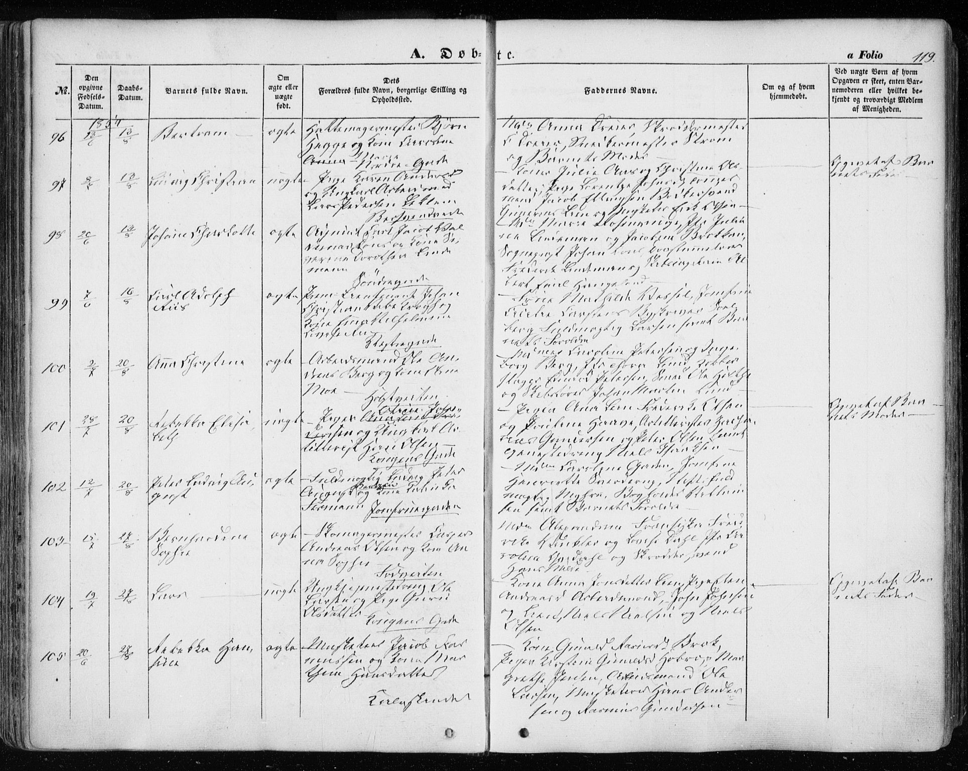 Ministerialprotokoller, klokkerbøker og fødselsregistre - Sør-Trøndelag, AV/SAT-A-1456/601/L0051: Parish register (official) no. 601A19, 1848-1857, p. 119